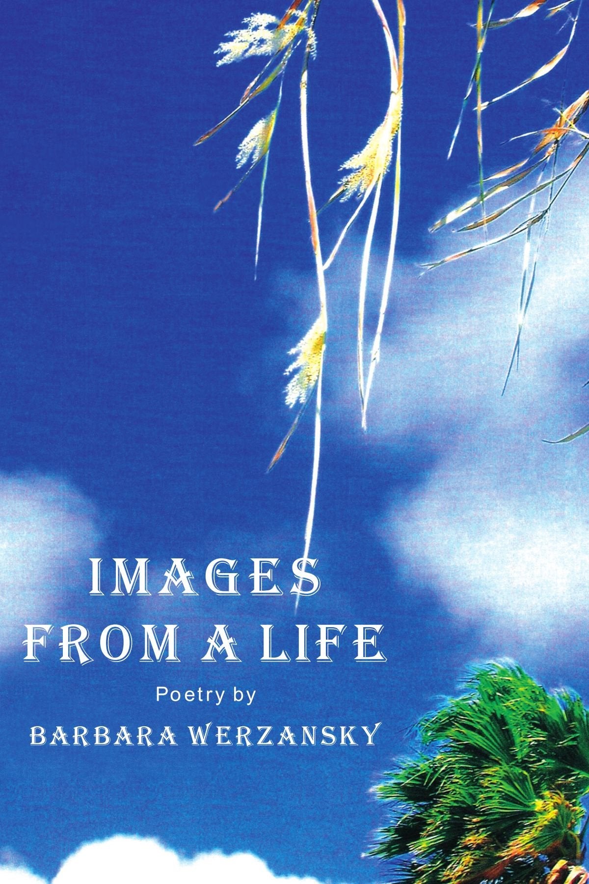 Images from a Life: Poetry by Barbara Werzansky Poetry
