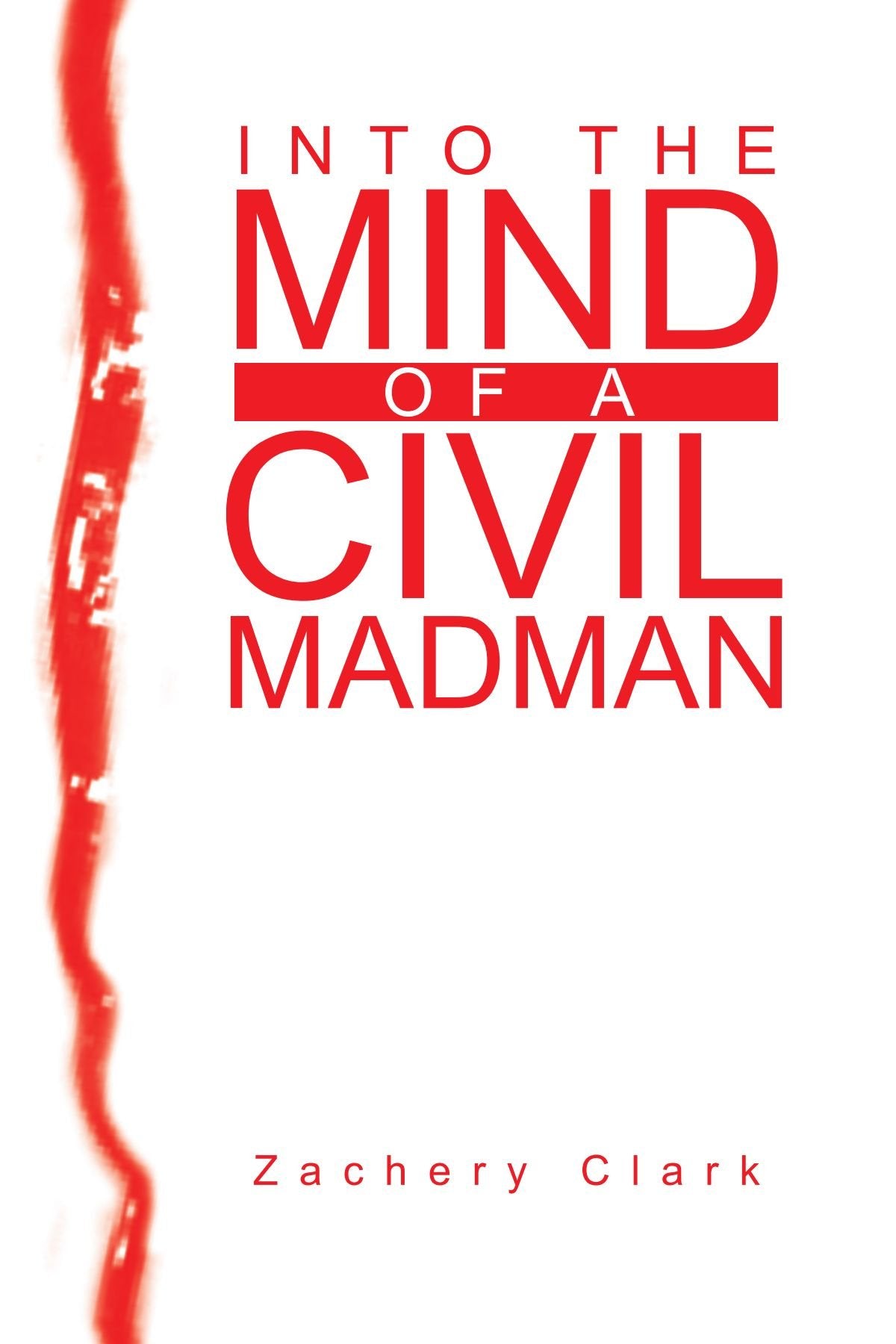 INTO THE MIND OF A CIVIL MADMAN Poetry