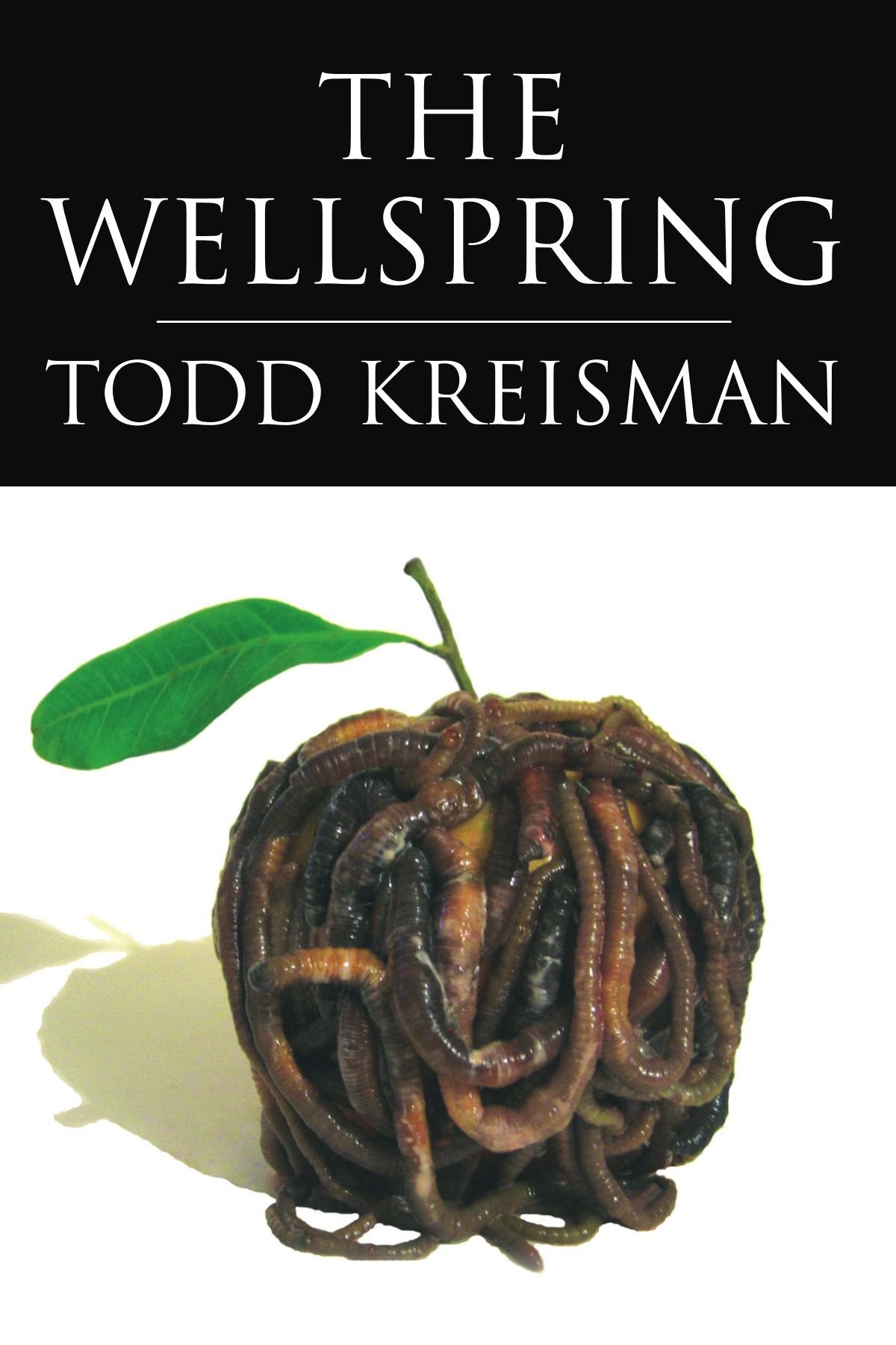 Product Image: The Wellspring