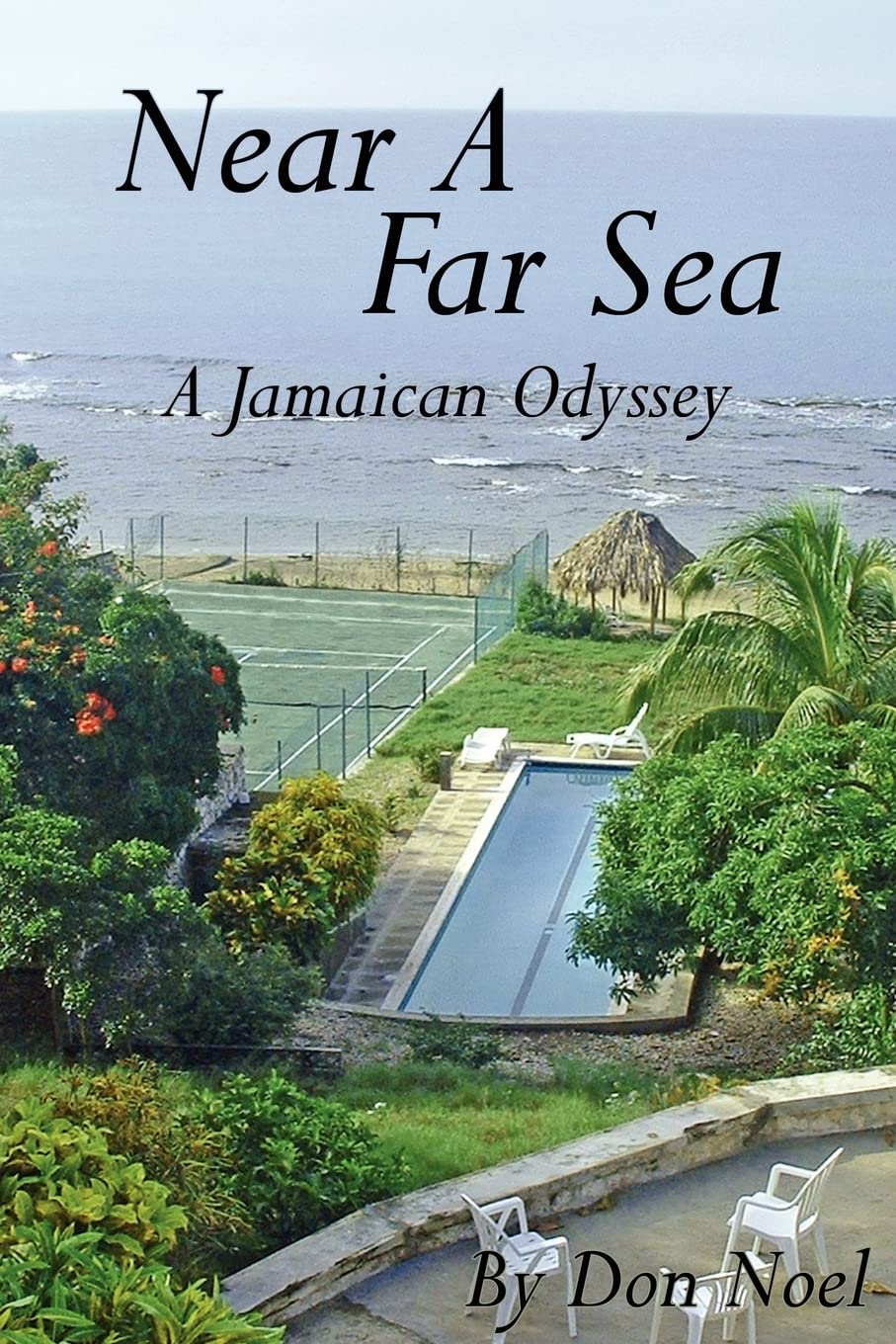 Product Image: Near A Far Sea