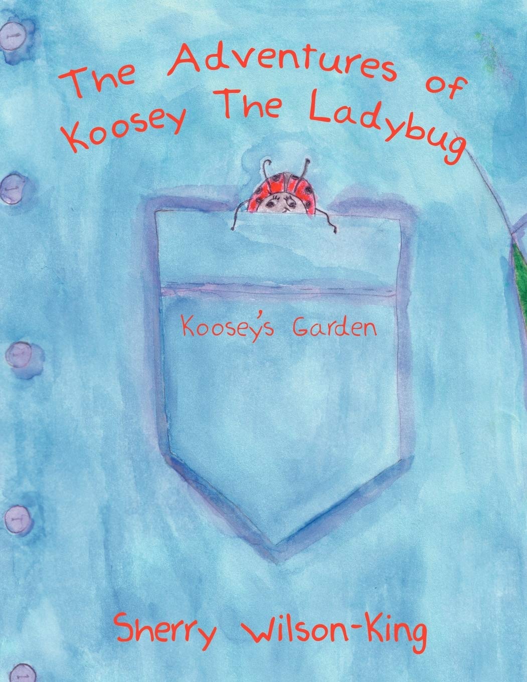 The Adventures of Koosey The Ladybug: Koosey's Garden Books
