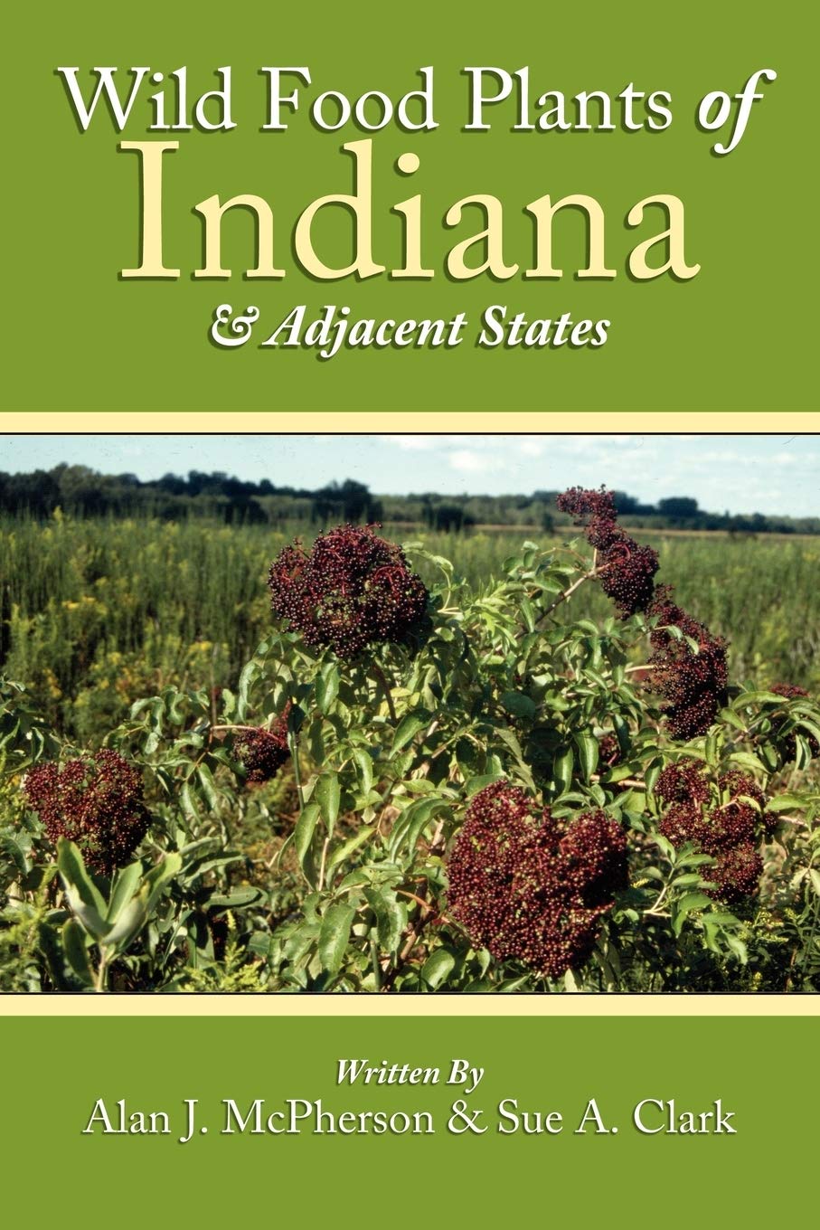 Wild Food Plants of Indiana & Adjacent States Garden & Plants