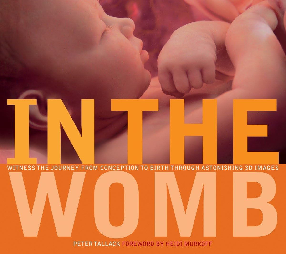 In the Womb: Witness the Journey from Conception to Birth Through Incredible 3D Imaging book