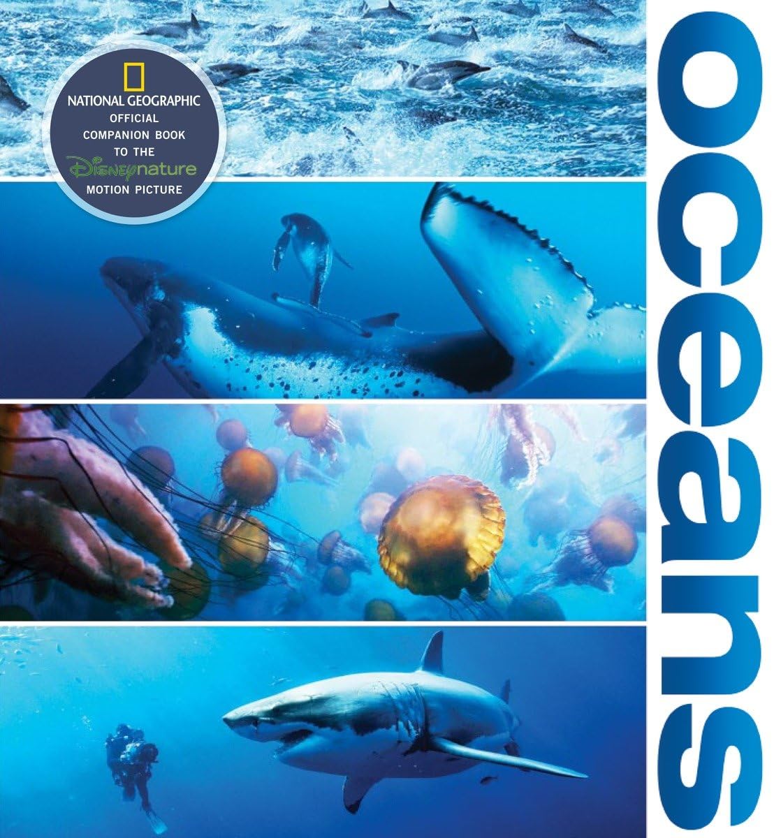 Oceans: Official Companion to the Disney Feature Film Mathematics