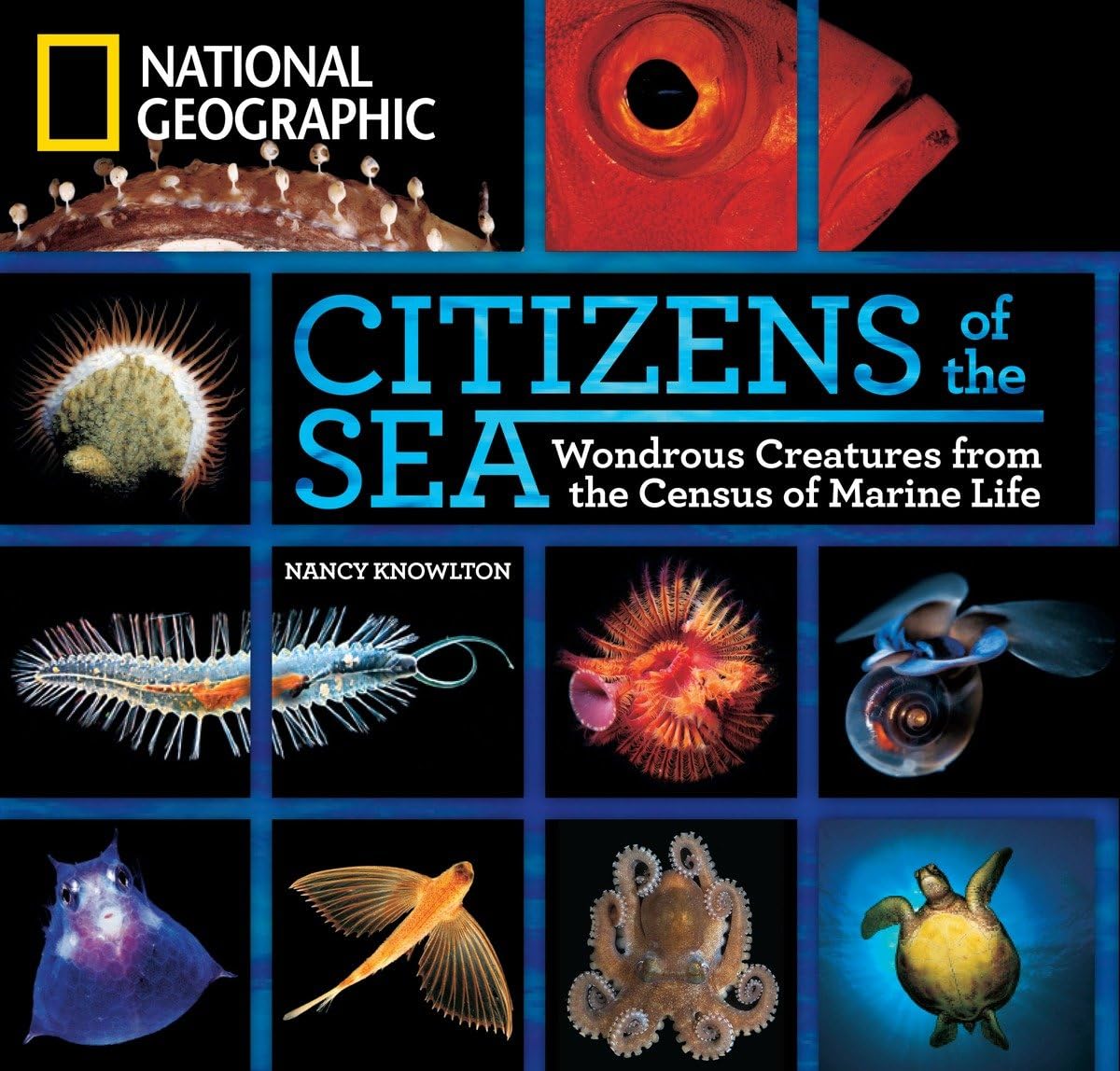Citizens of the Sea Leisure, Home & Garden