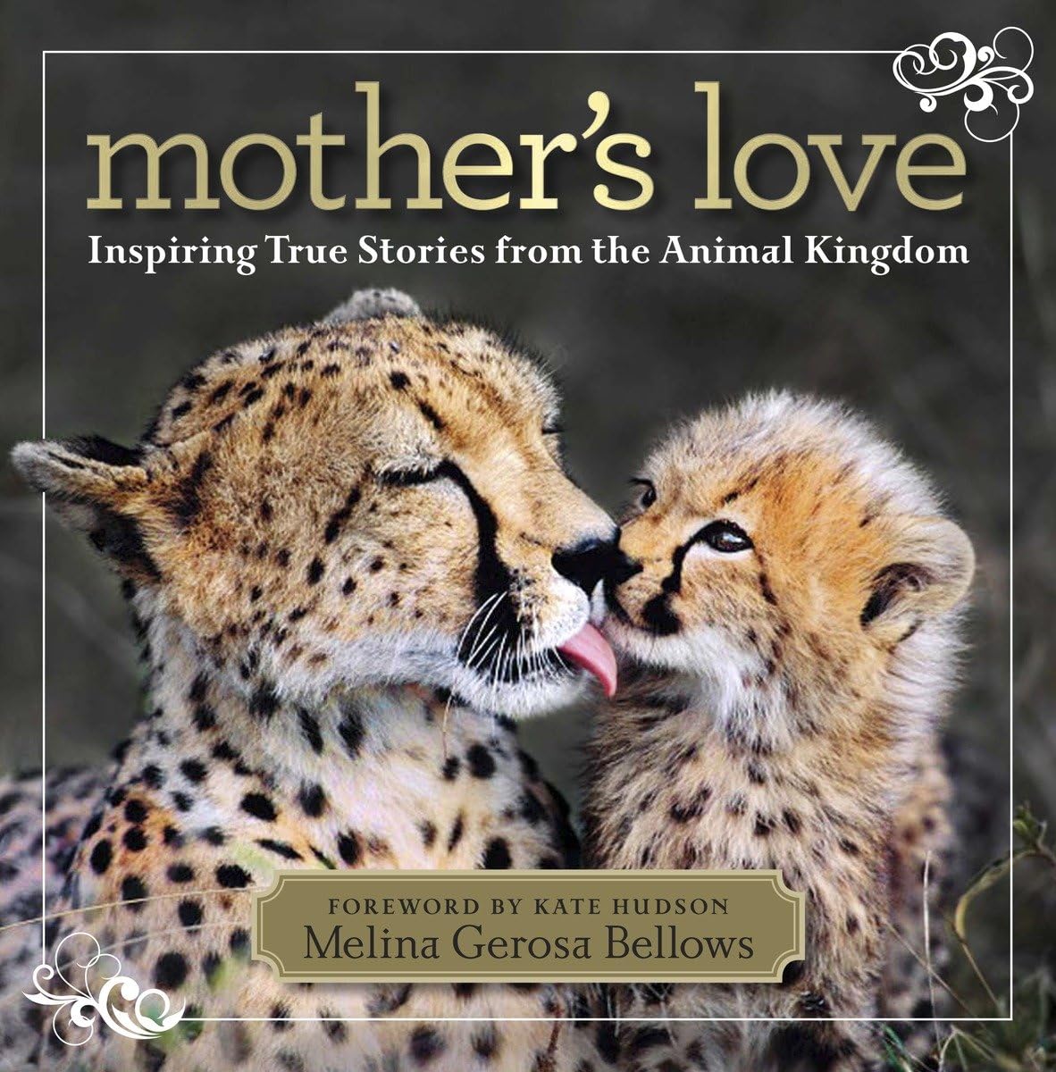 Mother's Love: Inspiring True Stories From the Animal Kingdom Mathematics