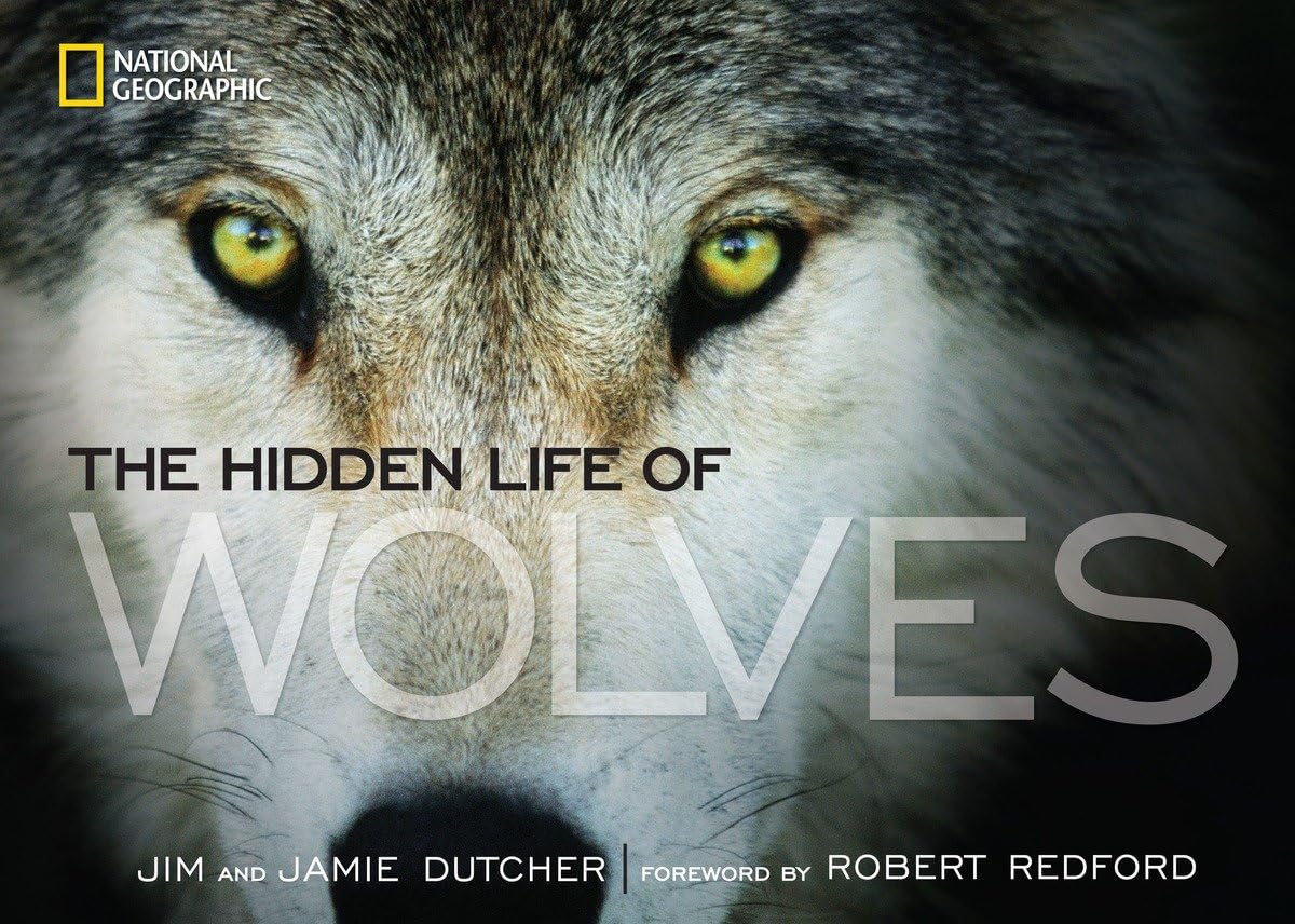 Hidden Life of Wolves, The Mathematics