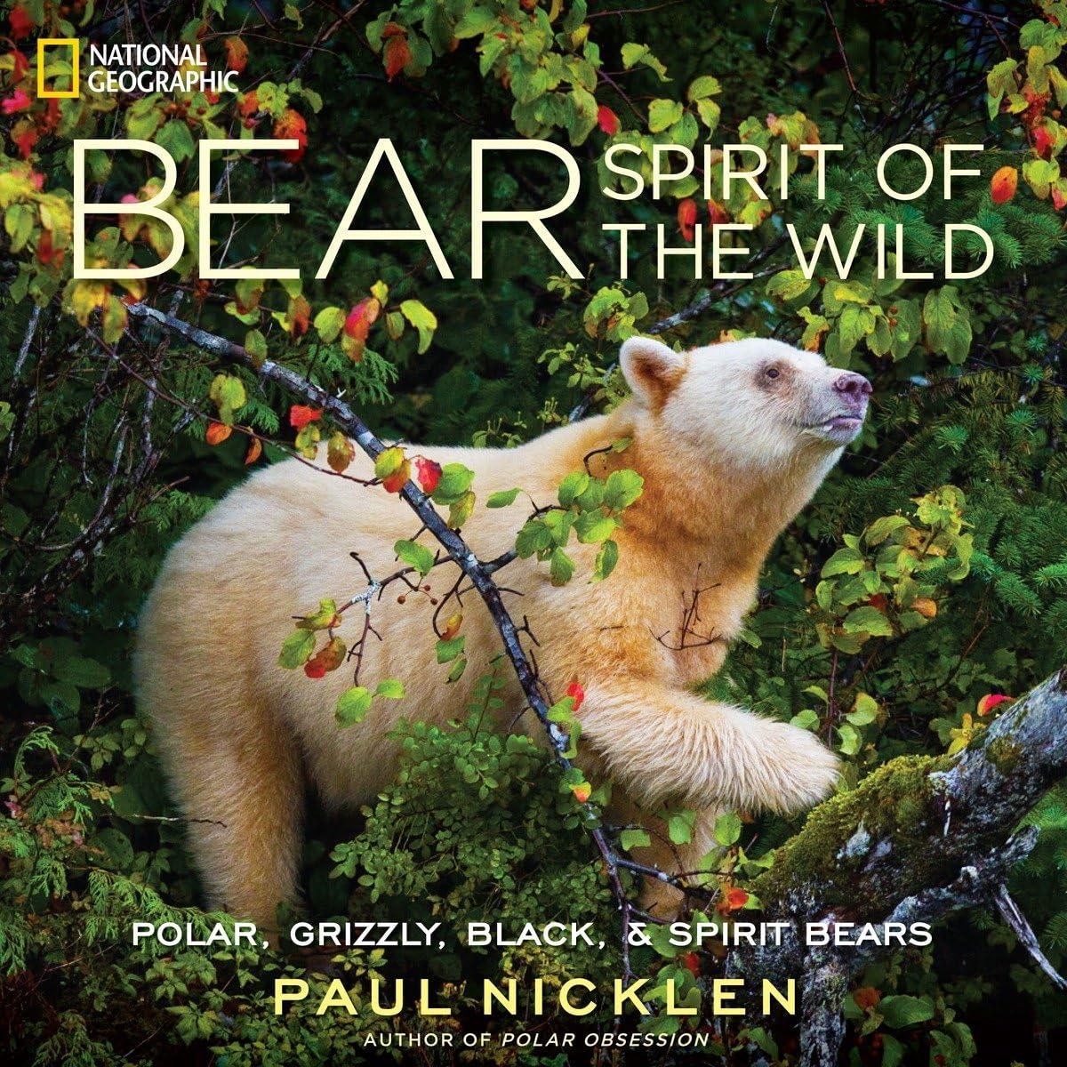 Bear: Spirit of the Wild Mathematics