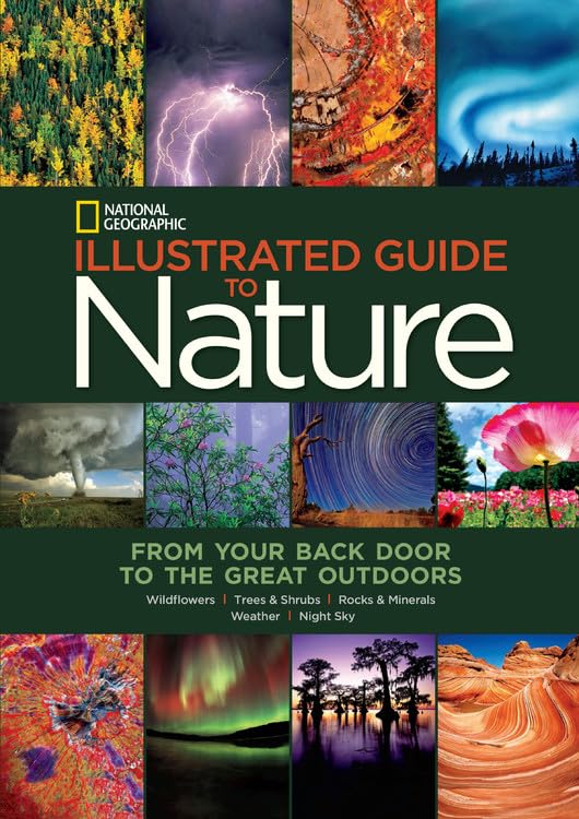 National Geographic Illustrated Guide to Nature: From Your Back Door to the Great Outdoors Mathematics