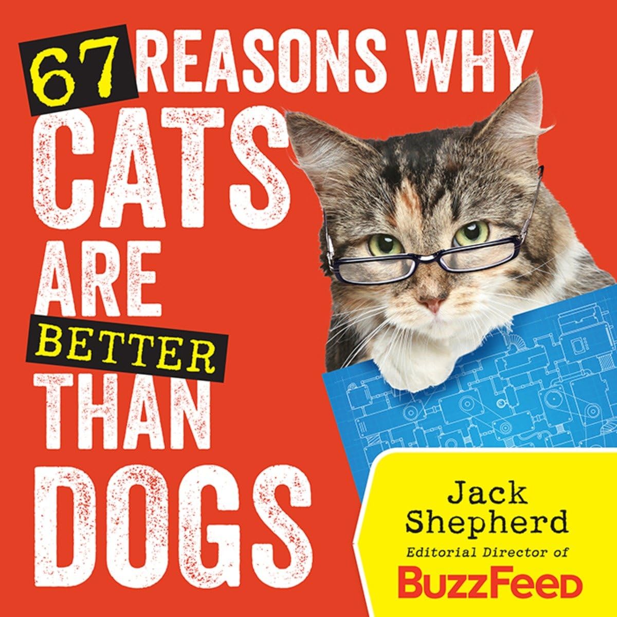 67 Reasons Why Cats Are Better Than Dogs Humour & Satire