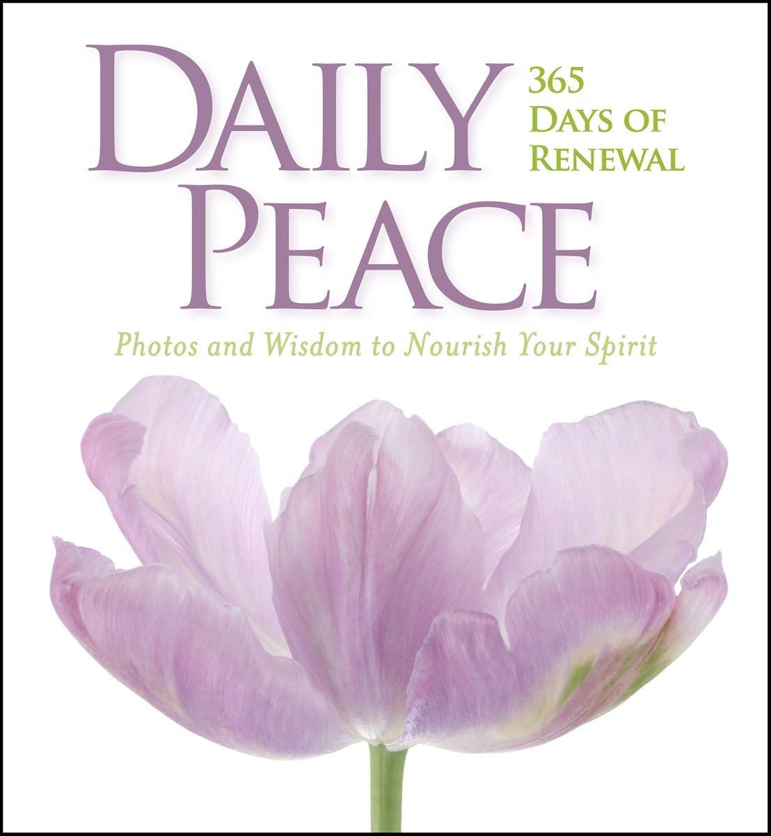Daily Peace: 365 Days of Renewal Photography