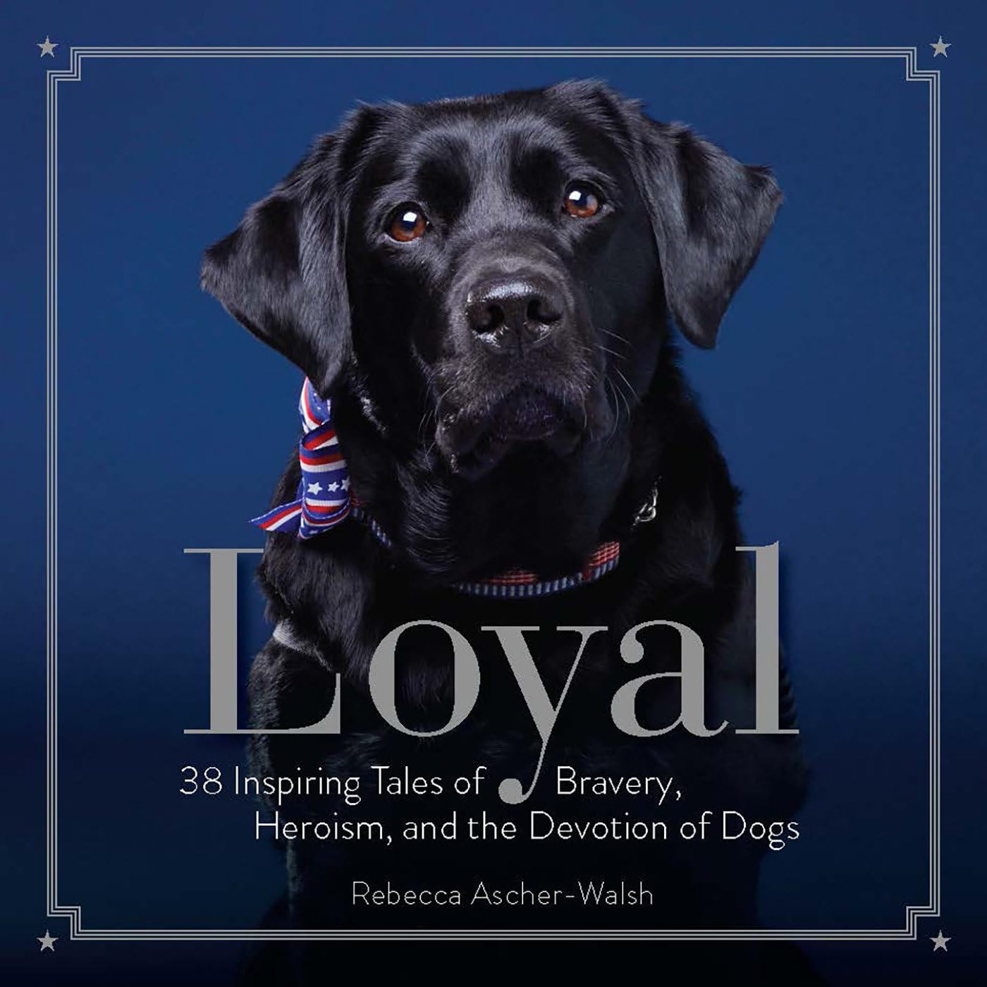 Loyal: 38 Inspiring Tales of Bravery, Heroism, and the Devotion of Dogs Books