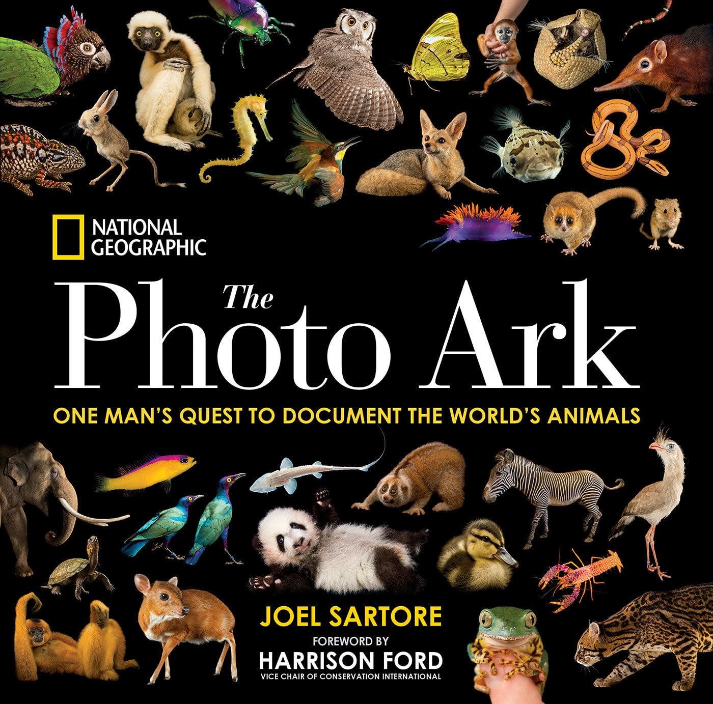 National Geographic The Photo Ark: One Man's Quest to Document the World's Animals Photography