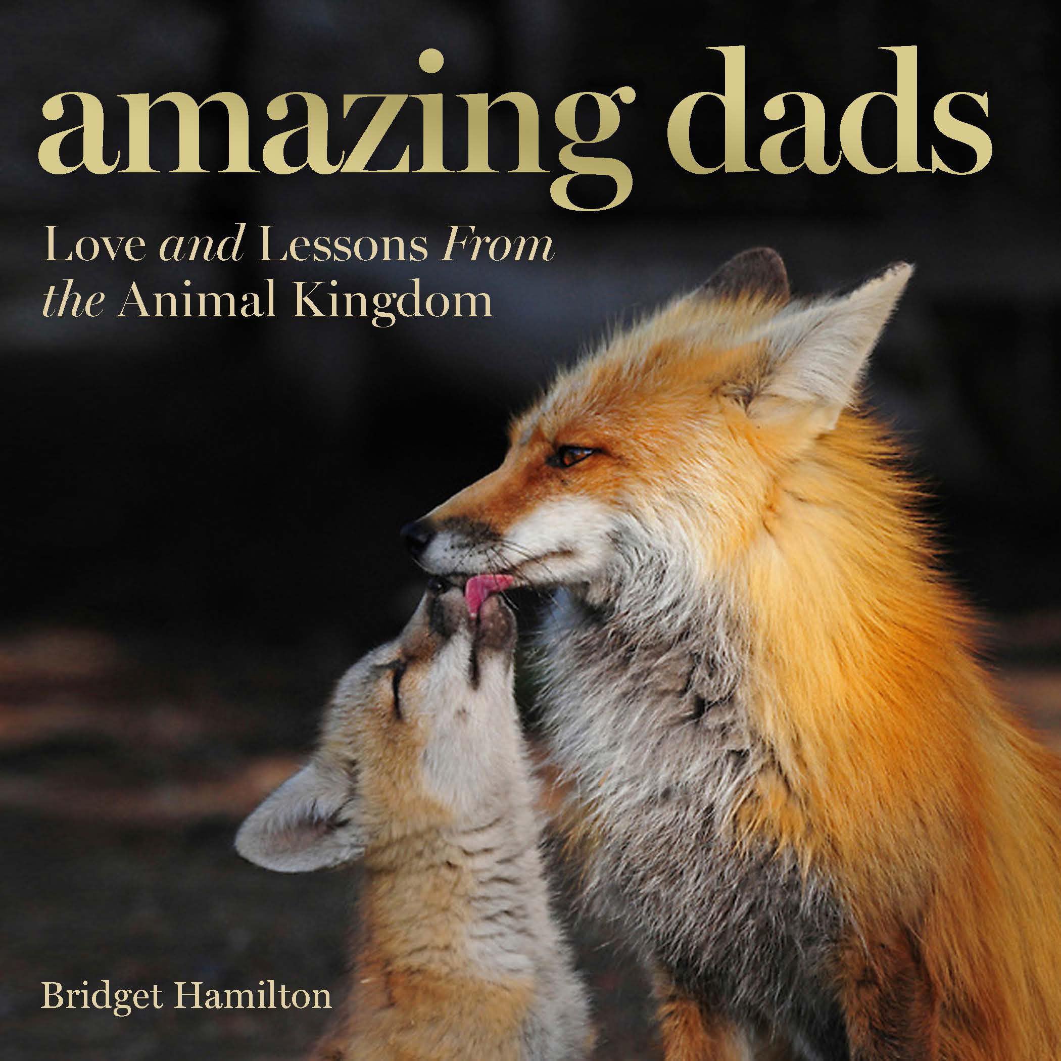 Amazing Dads: Love and Lessons From the Animal Kingdom Mathematics