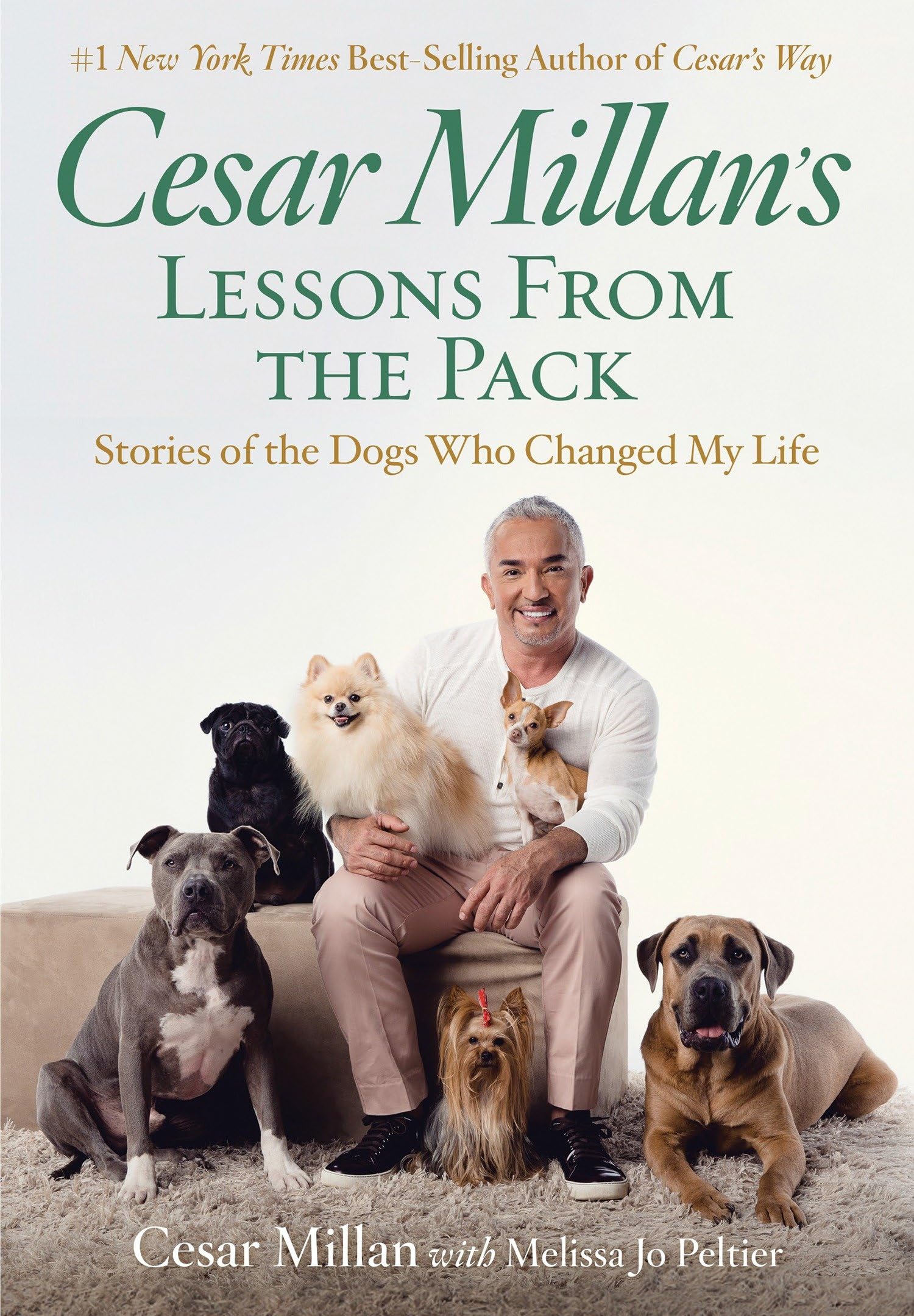Cesar Millan's Lessons from the Pack: Stories of the Dogs Who Changed My Life Art & Literature