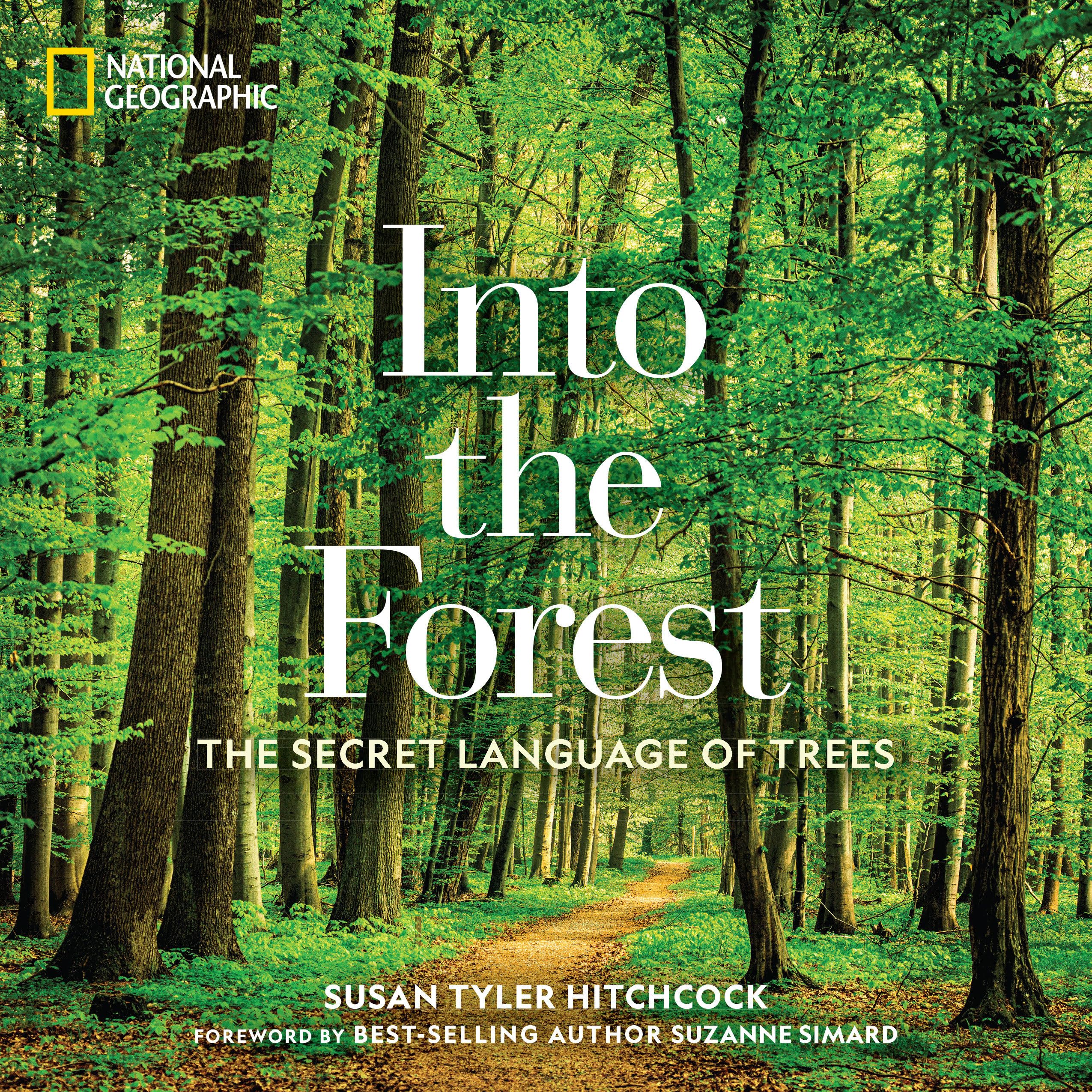 Into the Forest: The Secret Language of Trees Mathematics