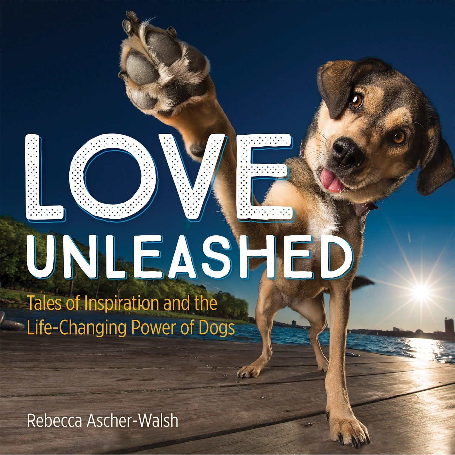Love Unleashed: Tales of Inspiration and the Life-Changing Power of Dogs Memories