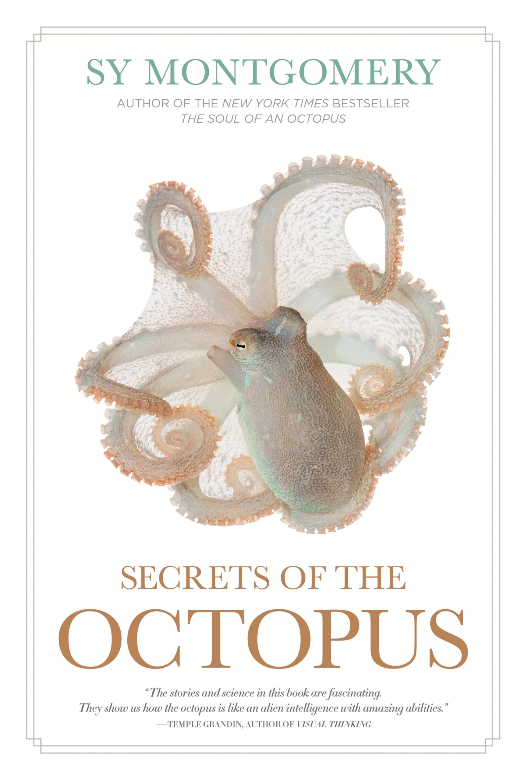 Product Image: Secrets of the Octopus