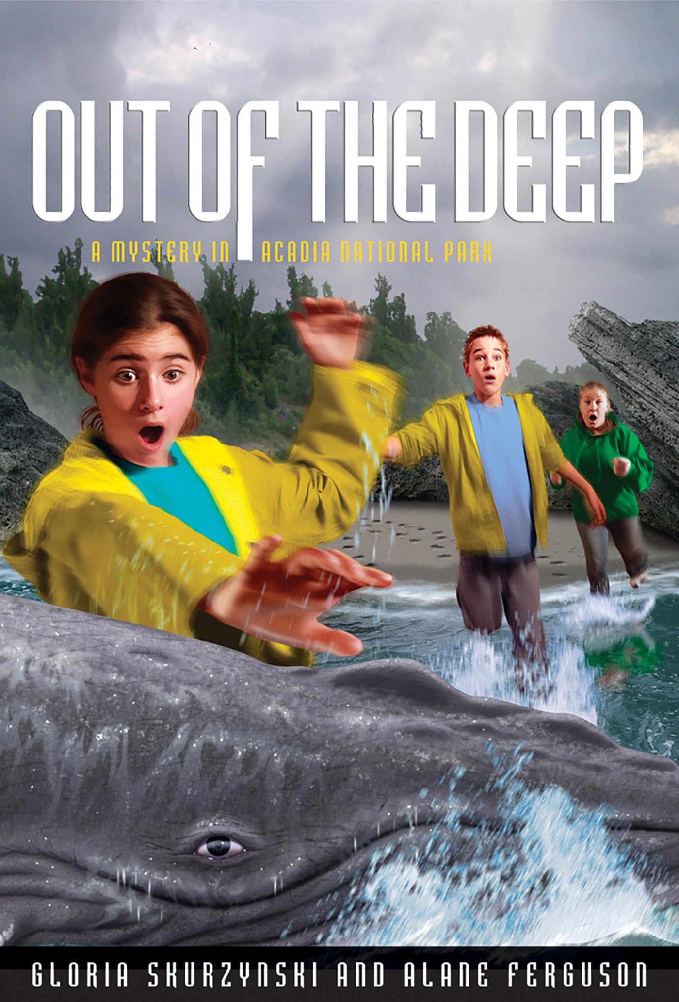 Out of the Deep: A Mystery in Acadia National Park book