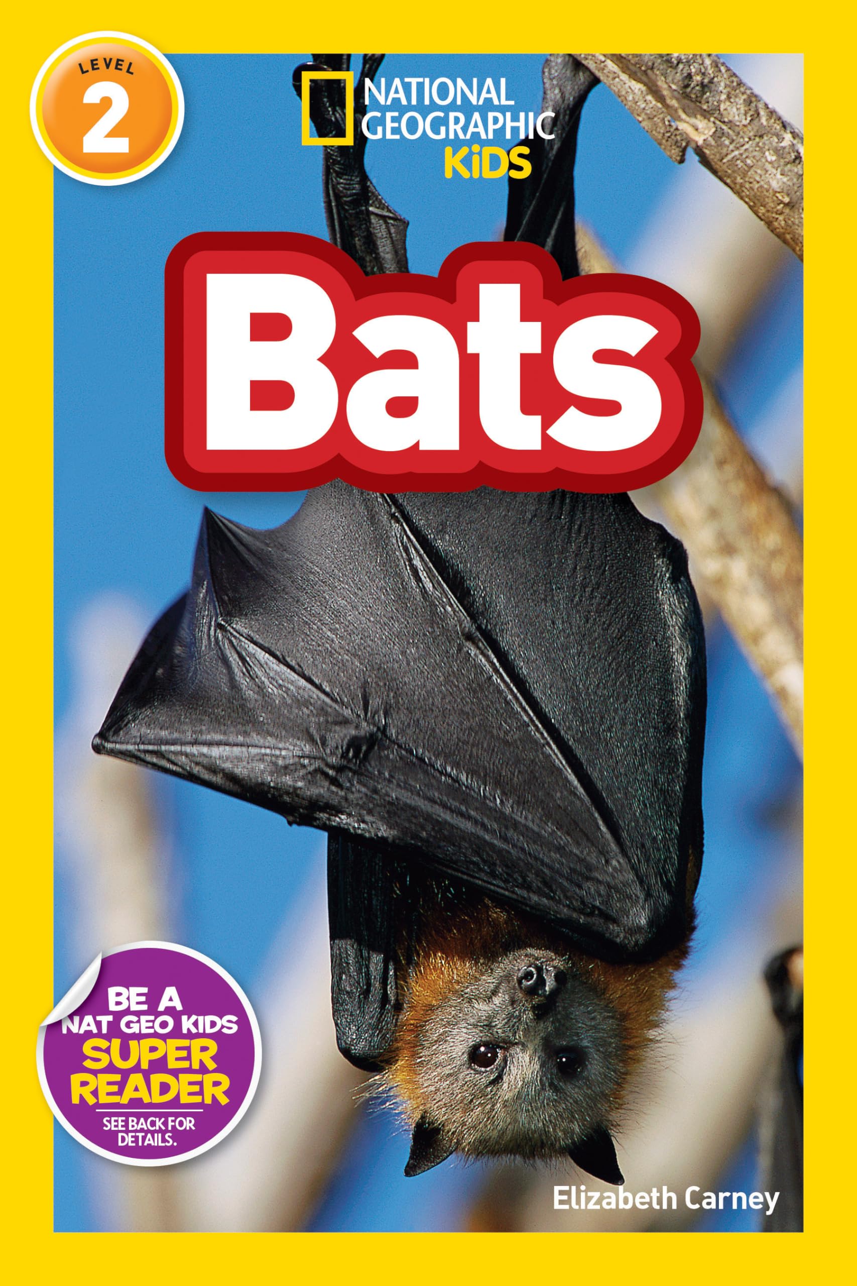 Bats (National Geographic Kids Readers, Level 2) Novels & Short Stories