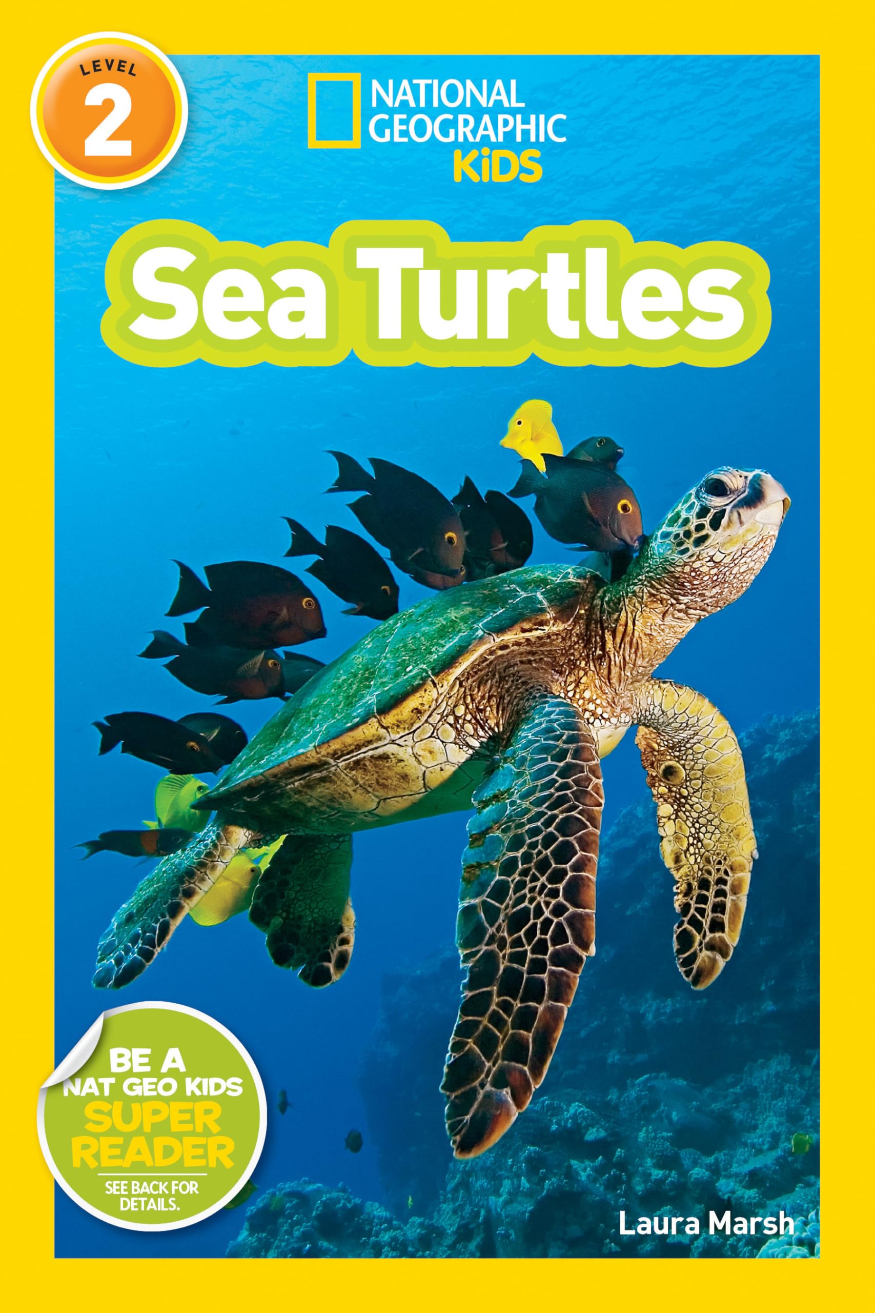 Sea Turtles (National Geographic Kids Readers, Level 2) Novels & Short Stories