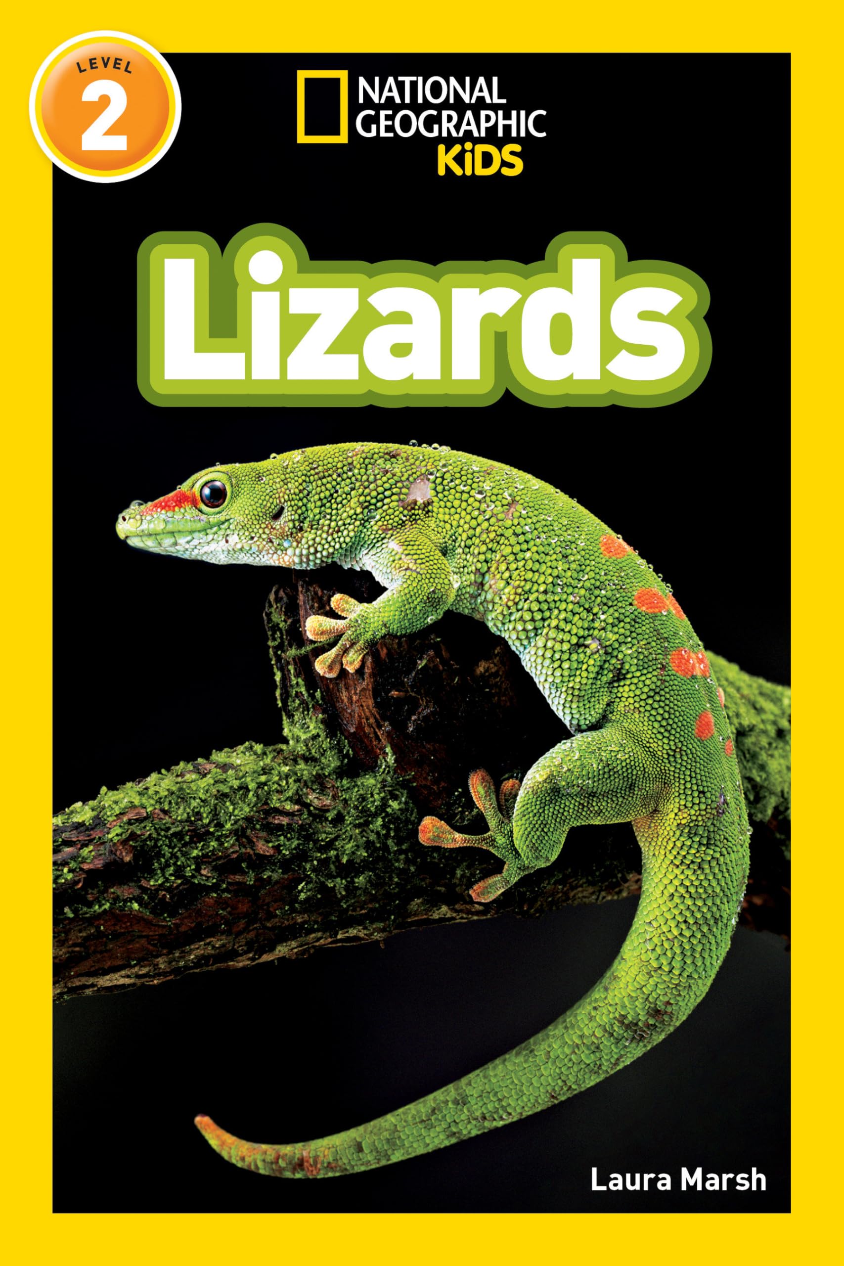 Lizards (National Geographic Kids Readers, Level 2) Novels & Short Stories