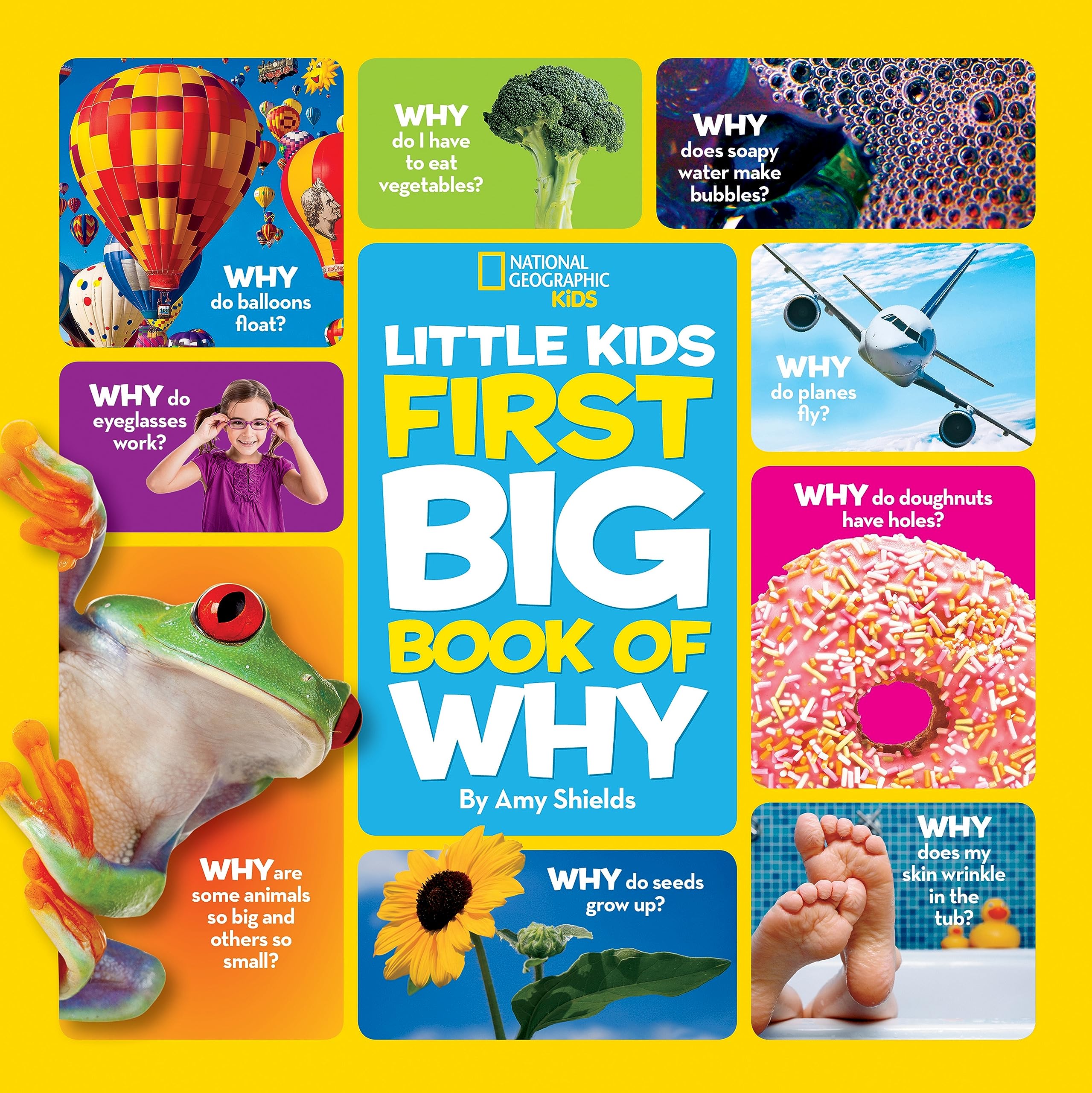 Little Kids First Big Book of Why (National Geographic Little Kids First Big Books) Non-fiction