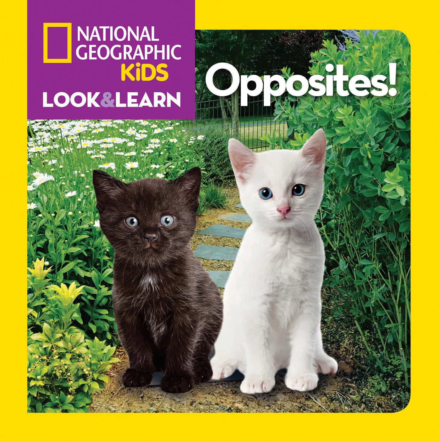 National Geographic Kids Look and Learn: Opposites! book