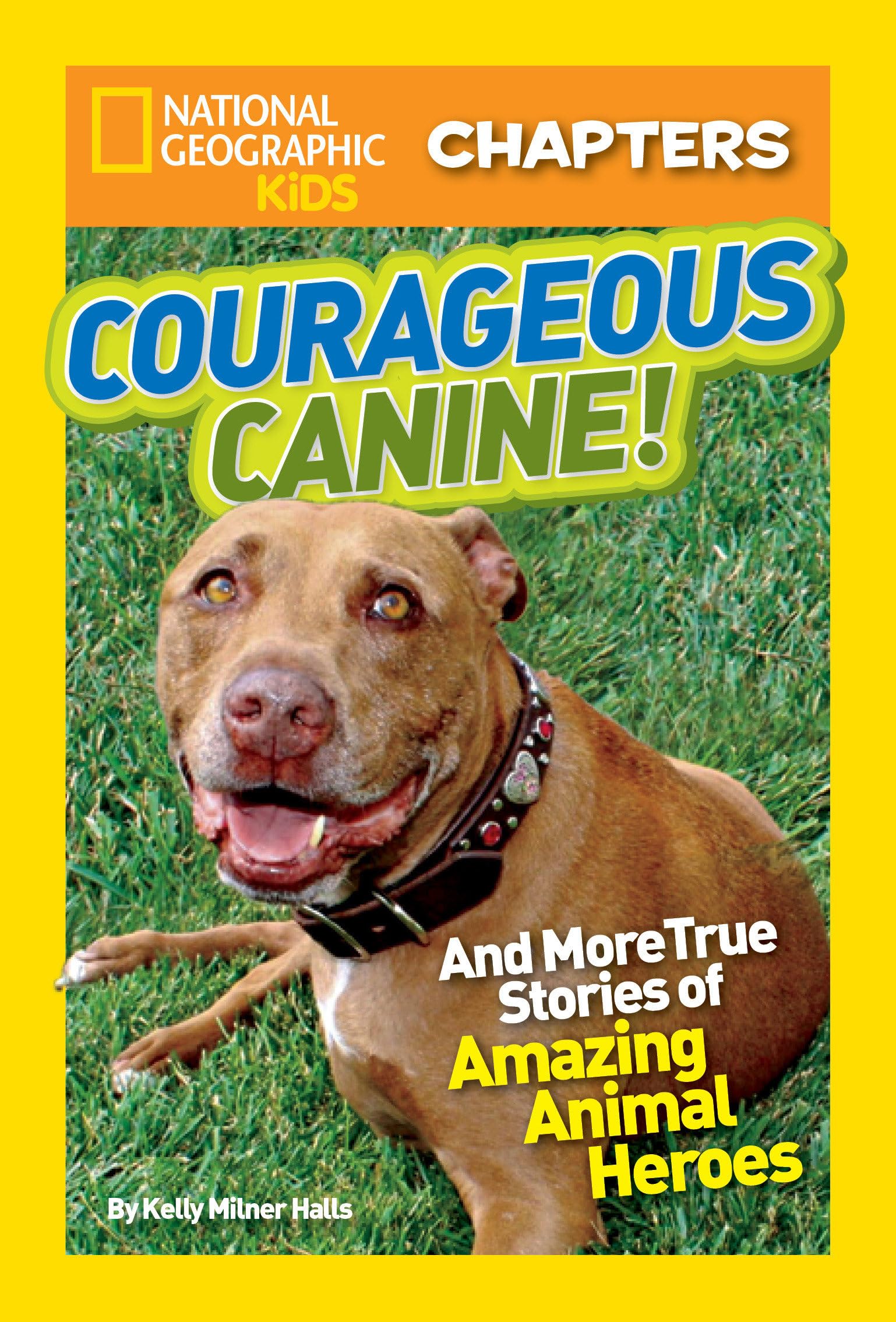 National Geographic Kids Chapters: Courageous Canine: And More True Stories of Amazing Animal Heroes (NGK Chapters) Novels & Short Stories