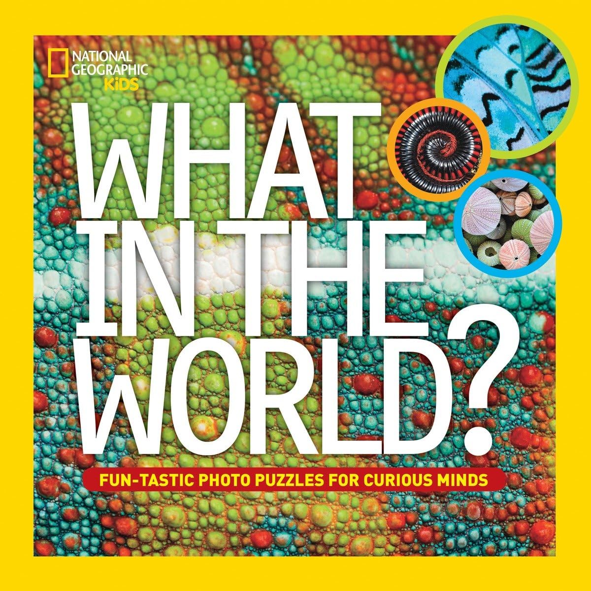What in the World?: Fun-Tastic Photo Puzzles for Curious Minds Tiptoi & Games