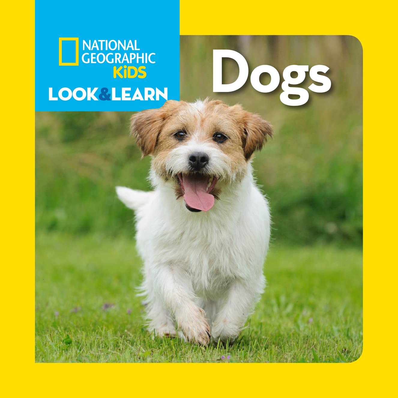 National Geographic Kids Look and Learn: Dogs (Look & Learn) Parents & Children