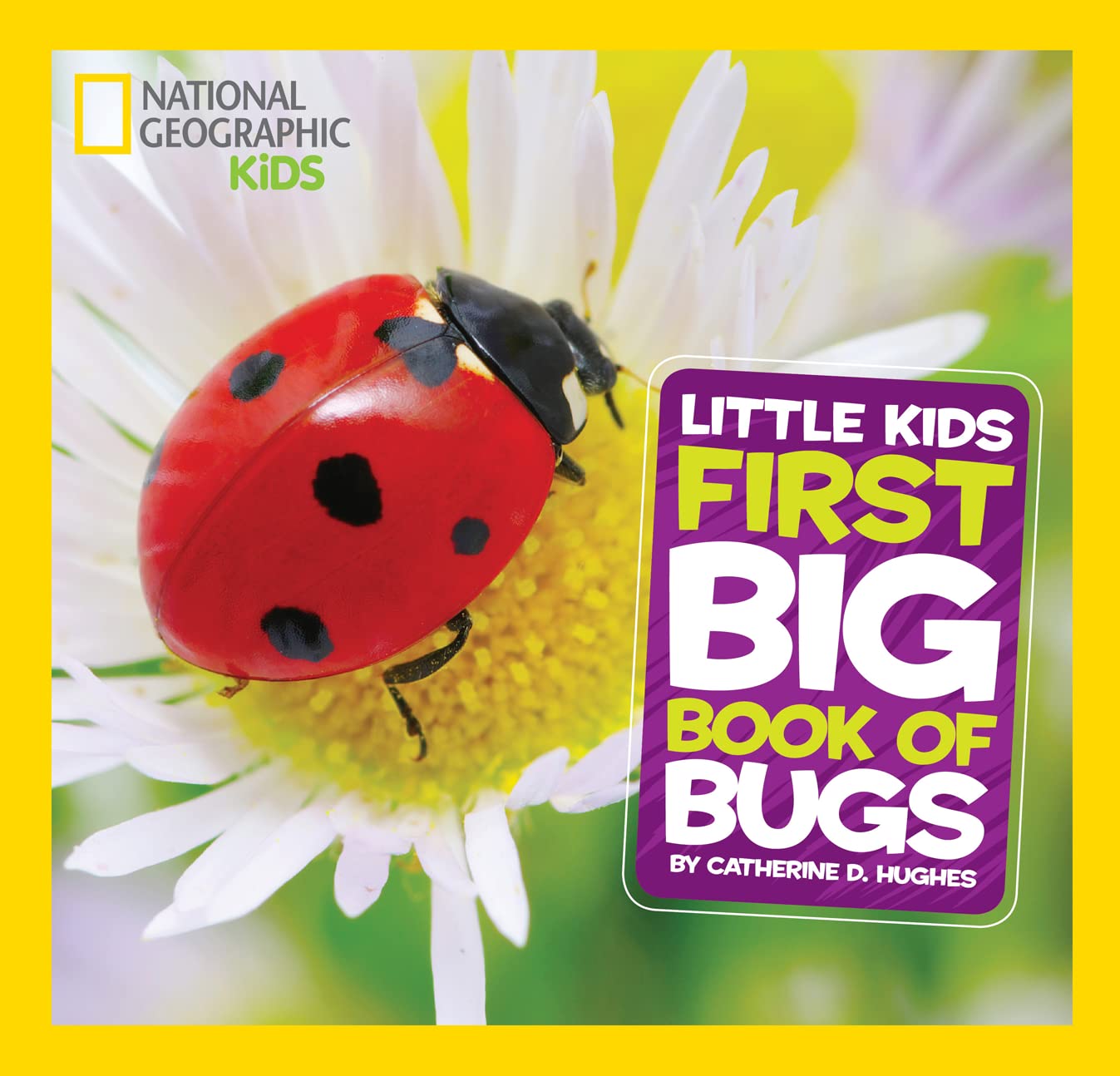 Little Kids First Big Book of Bugs Mathematics