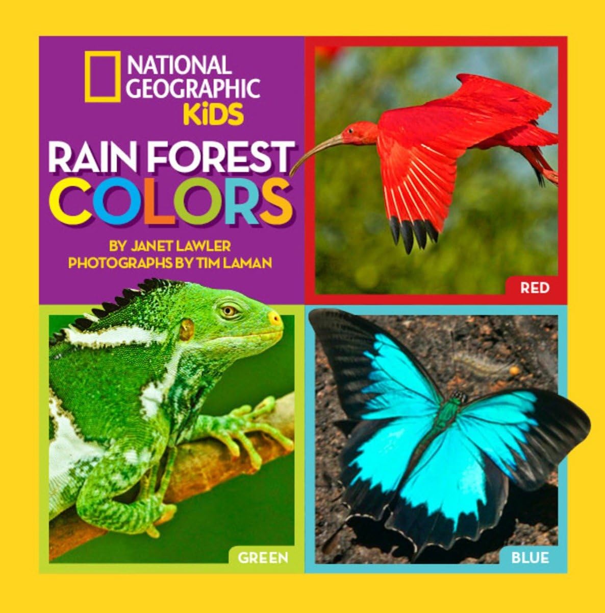 Rain Forest Colors (National Geographic Kids) Non-fiction