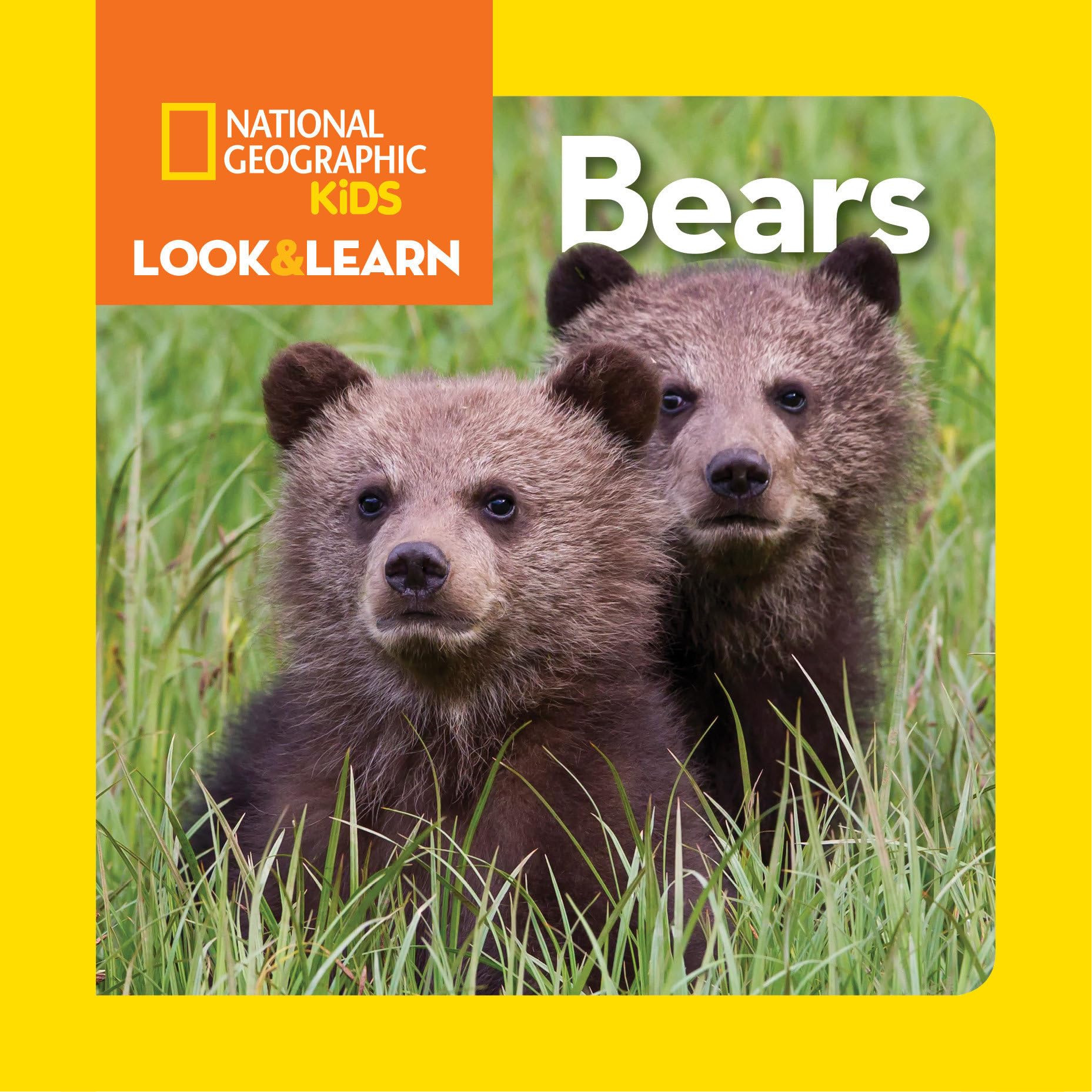 National Geographic Kids Look and Learn: Bears (Look & Learn) Parents & Children