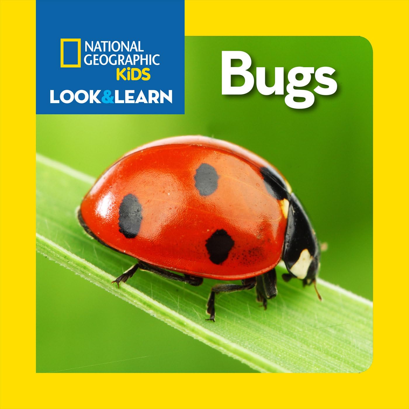 National Geographic Kids Look & Learn: Bugs book