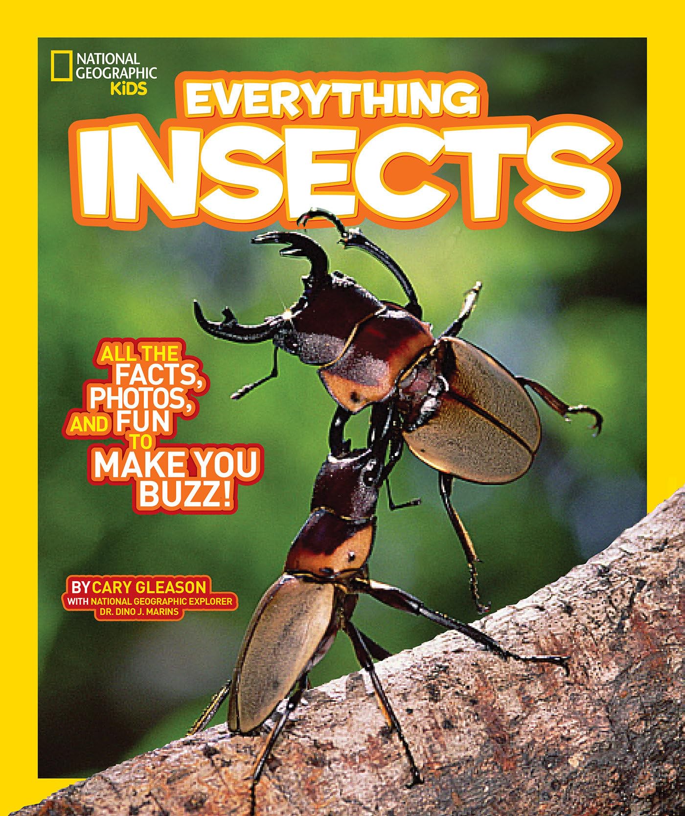 National Geographic Kids Everything Insects: All the Facts, Photos, and Fun to Make You Buzz Non-fiction