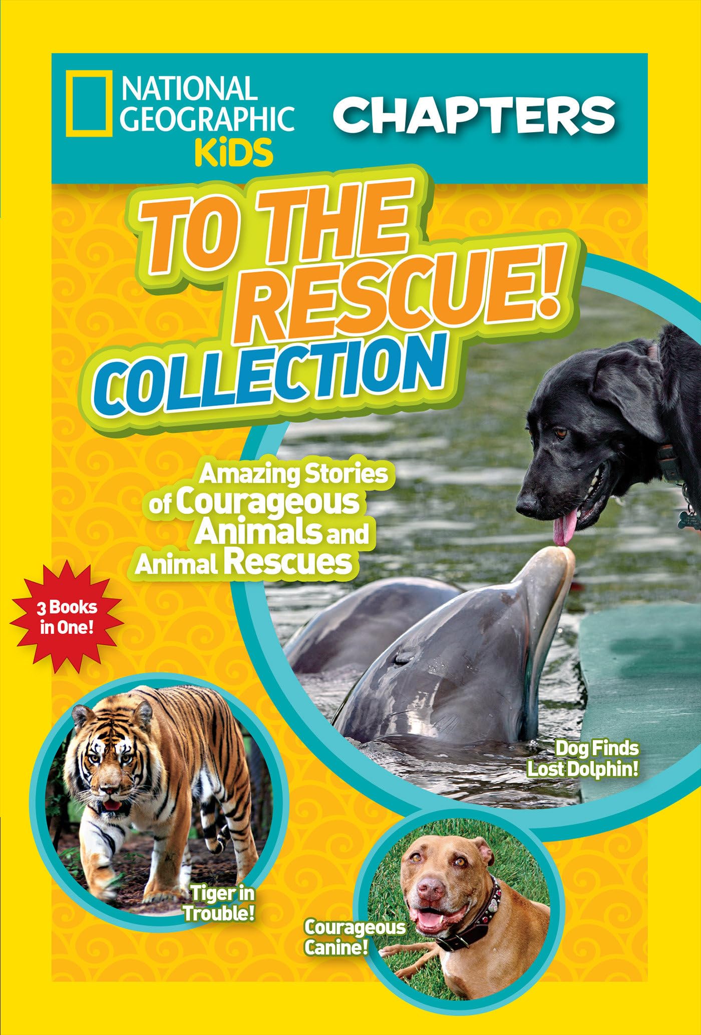 To the Rescue! Collection Study Guides