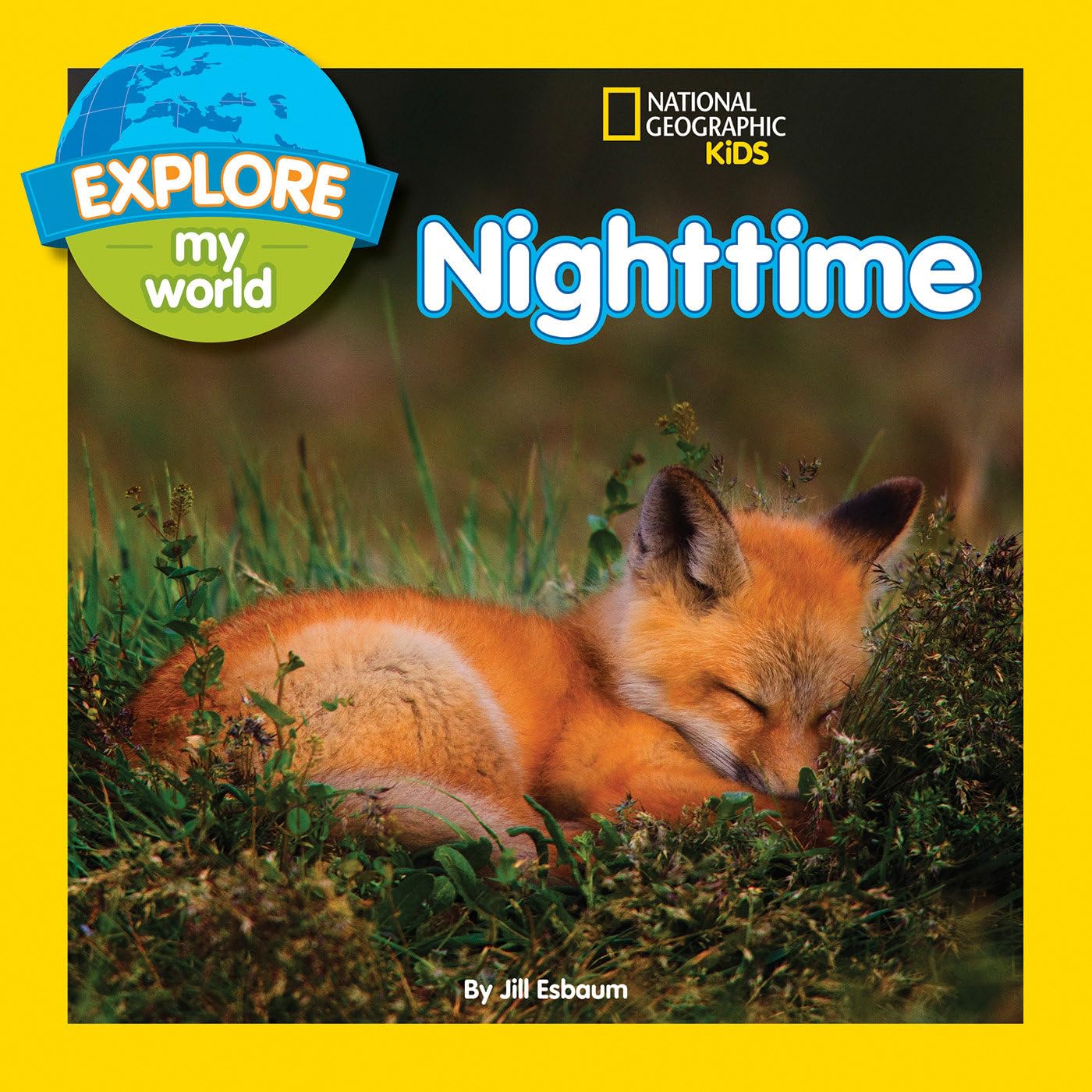 Explore My World: Nighttime book