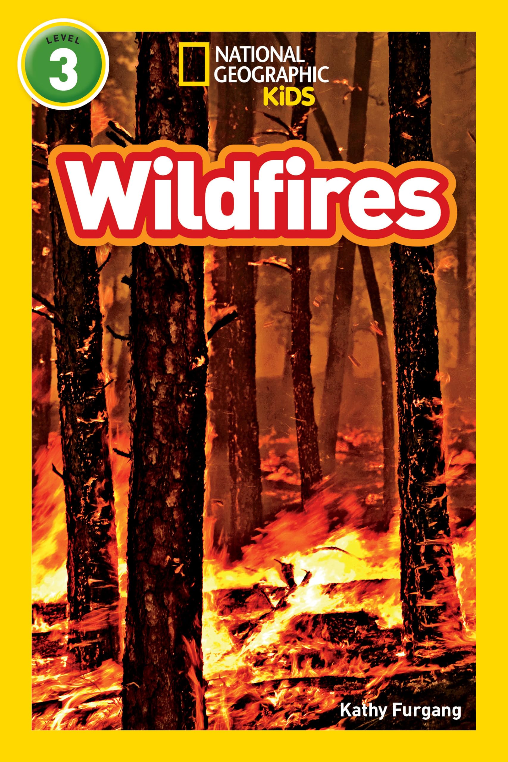 Wildfires (National Geographic Kids Readers, Level 3) book