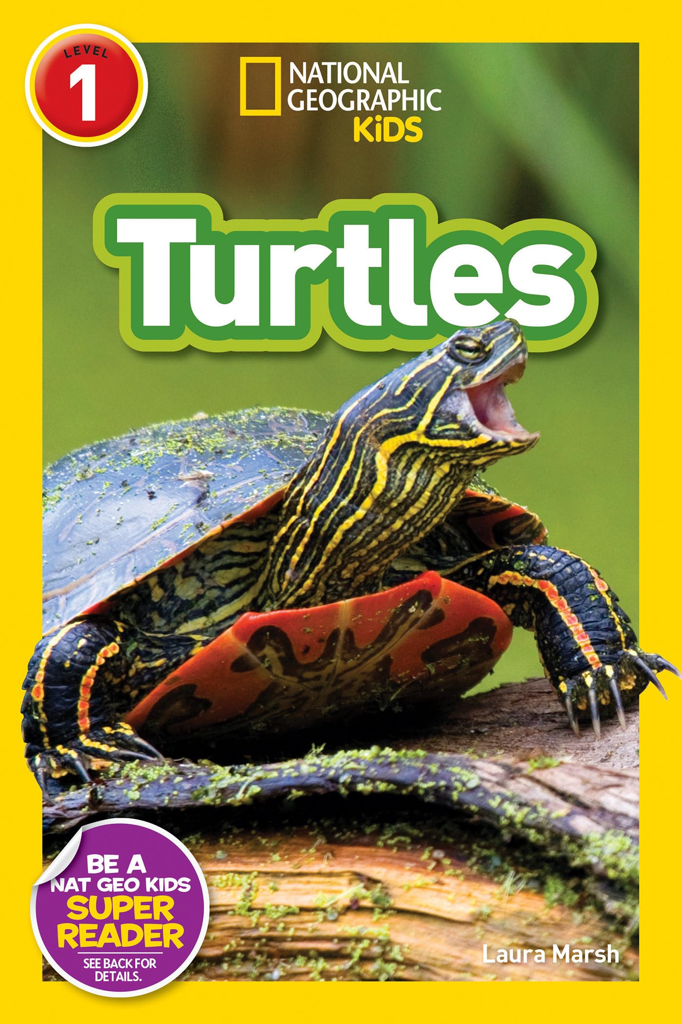 Turtles (National Geographic Kids Readers, Level 1) Novels & Short Stories