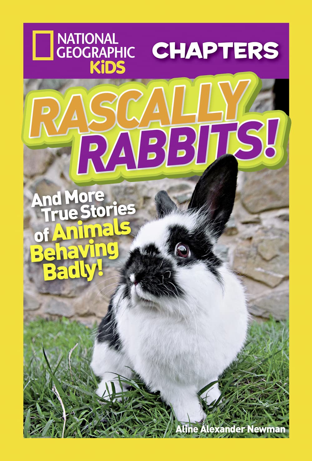 Product Image: Rascally Rabbits!