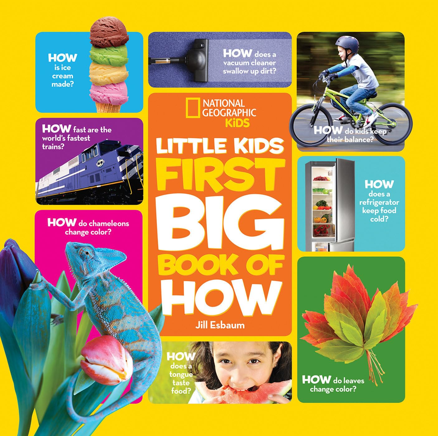 National Geographic Little Kids First Big Book of How (National Geographic Little Kids First Big Books) General education