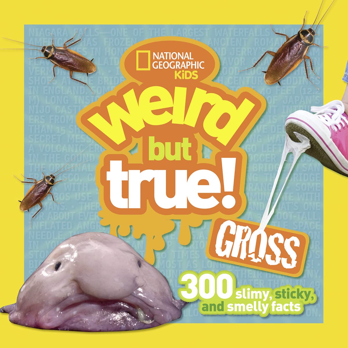 Weird But True! Gross Tiptoi & Games