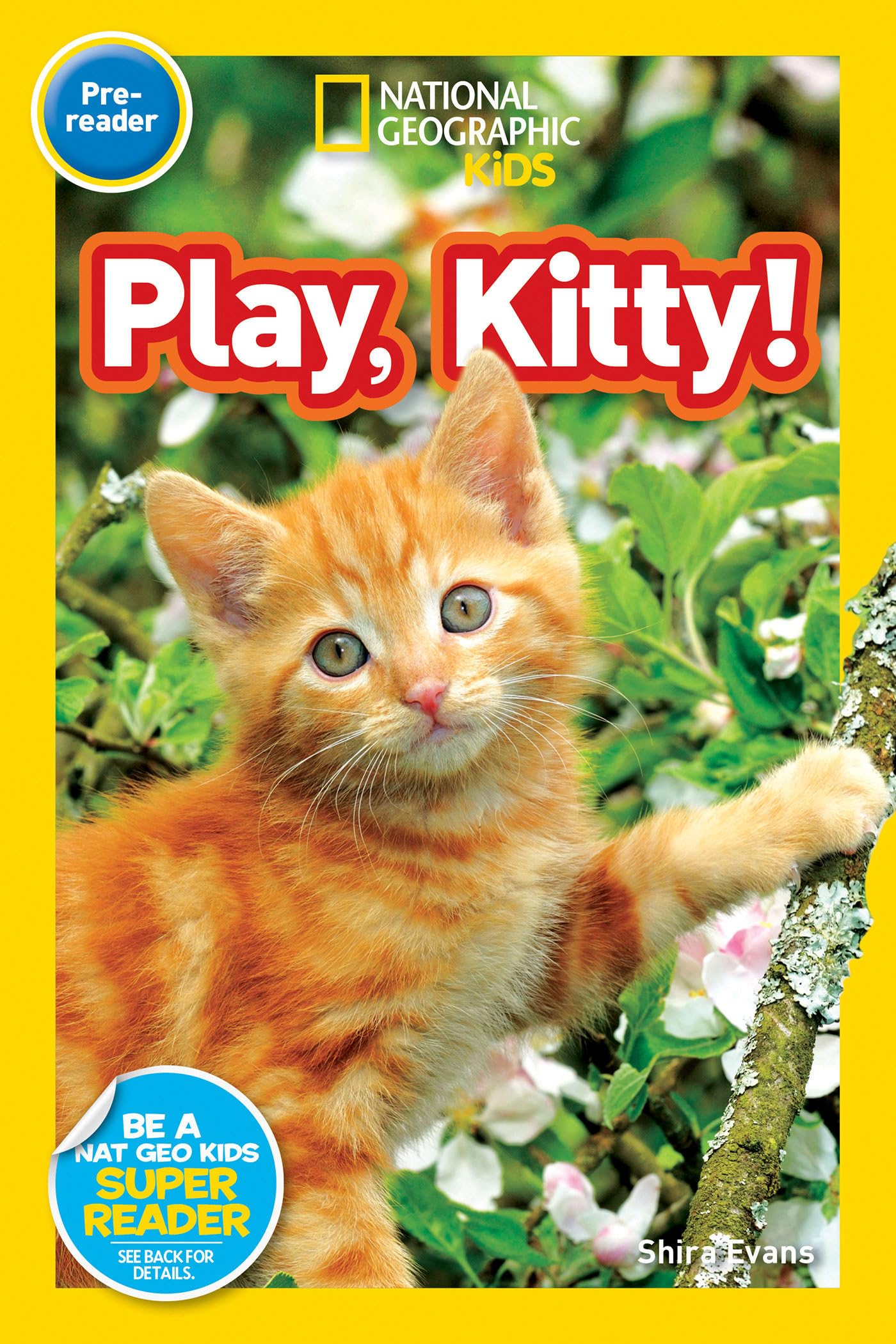 Play, Kitty! (National Geographic Kids Readers, Pre-Reader) Study Guides