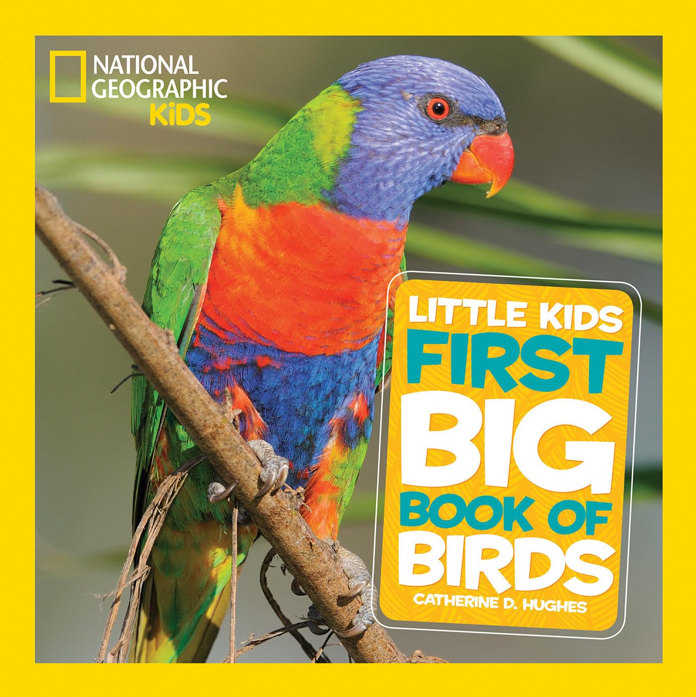 National Geographic Little Kids First Big Book of Birds (National Geographic Little Kids First Big Books) Non-fiction