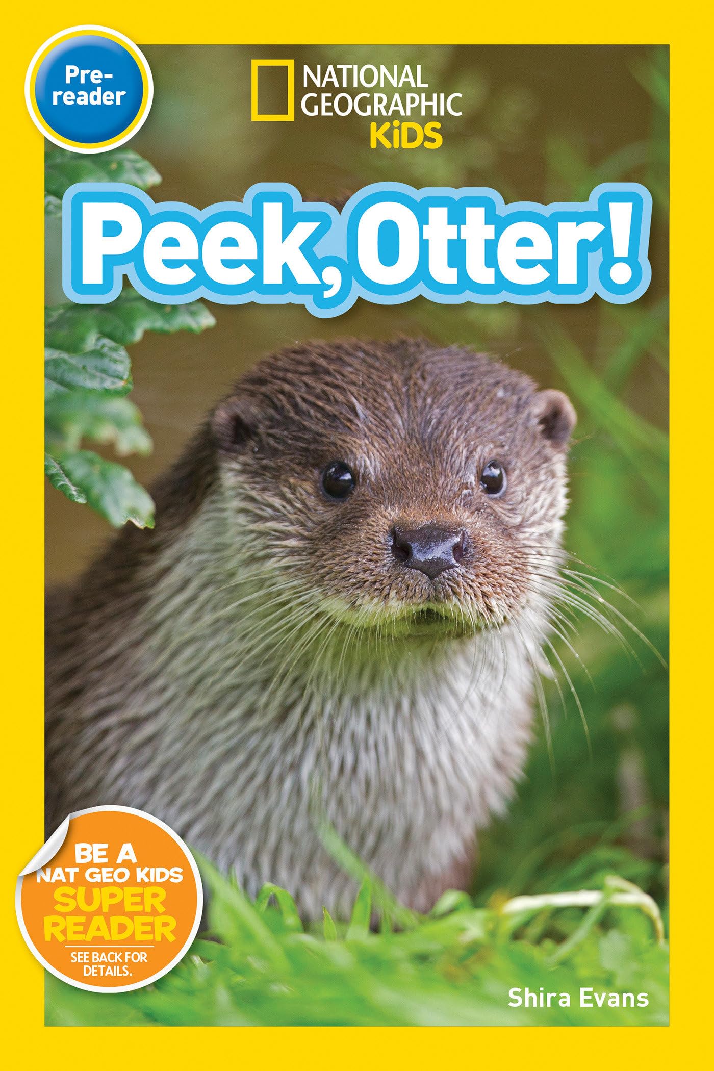 Peek, Otter! (National Geographic Kids Readers, Pre-Reader) Study Guides