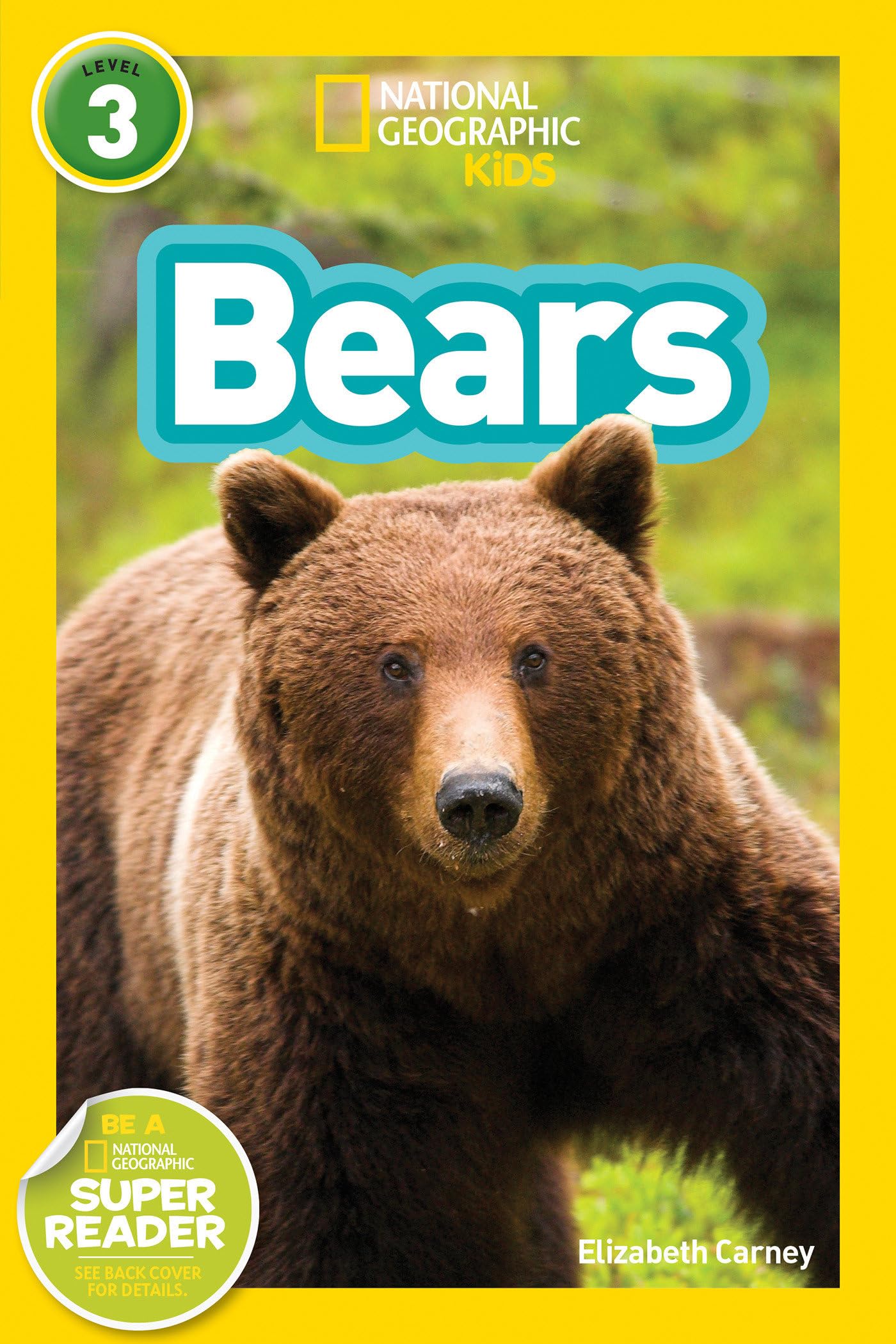 Bears (National Geographic Kids Readers, Level 3) Study Guides