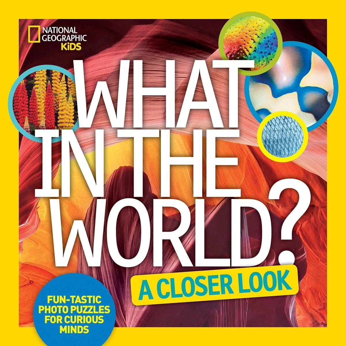 What in the World: A Closer Look: Fun-tastic Photo Puzzles for Curious Minds Non-fiction