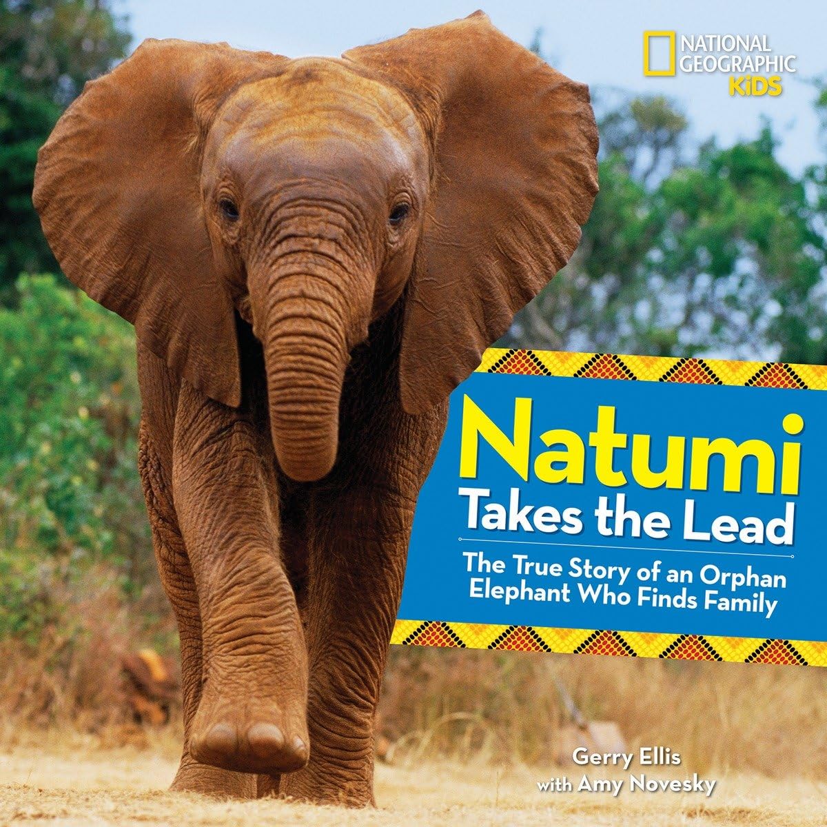Natumi Takes the Lead: The True Story of an Orphan Elephant Who Finds Family (Baby Animal Tales) Non-fiction