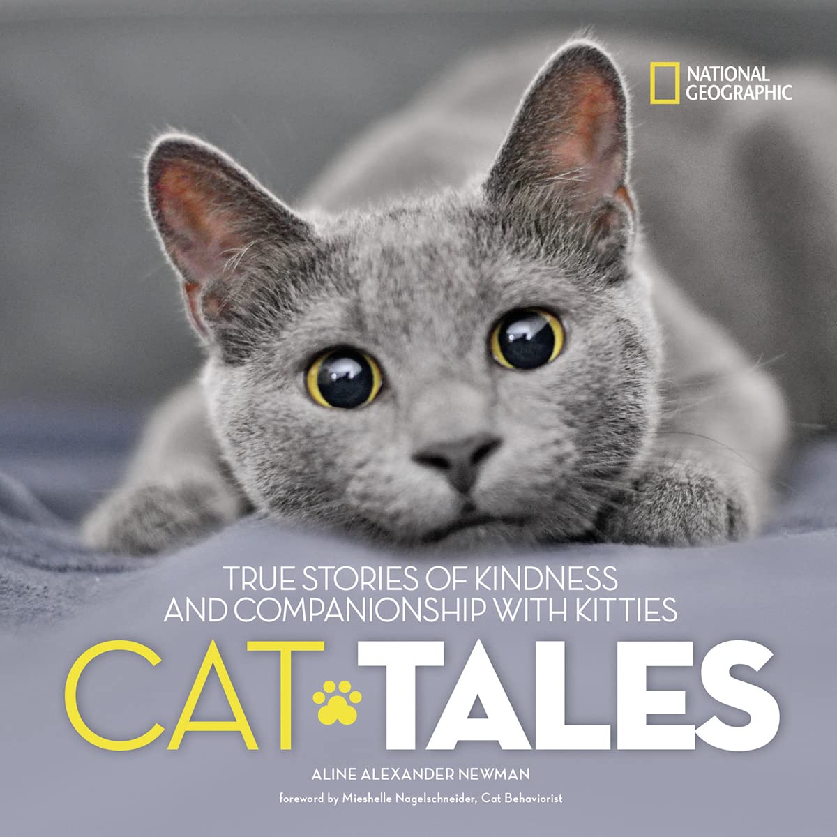 Cat Tales: True Stories of Kindness and Companionship with Kitties Non-fiction